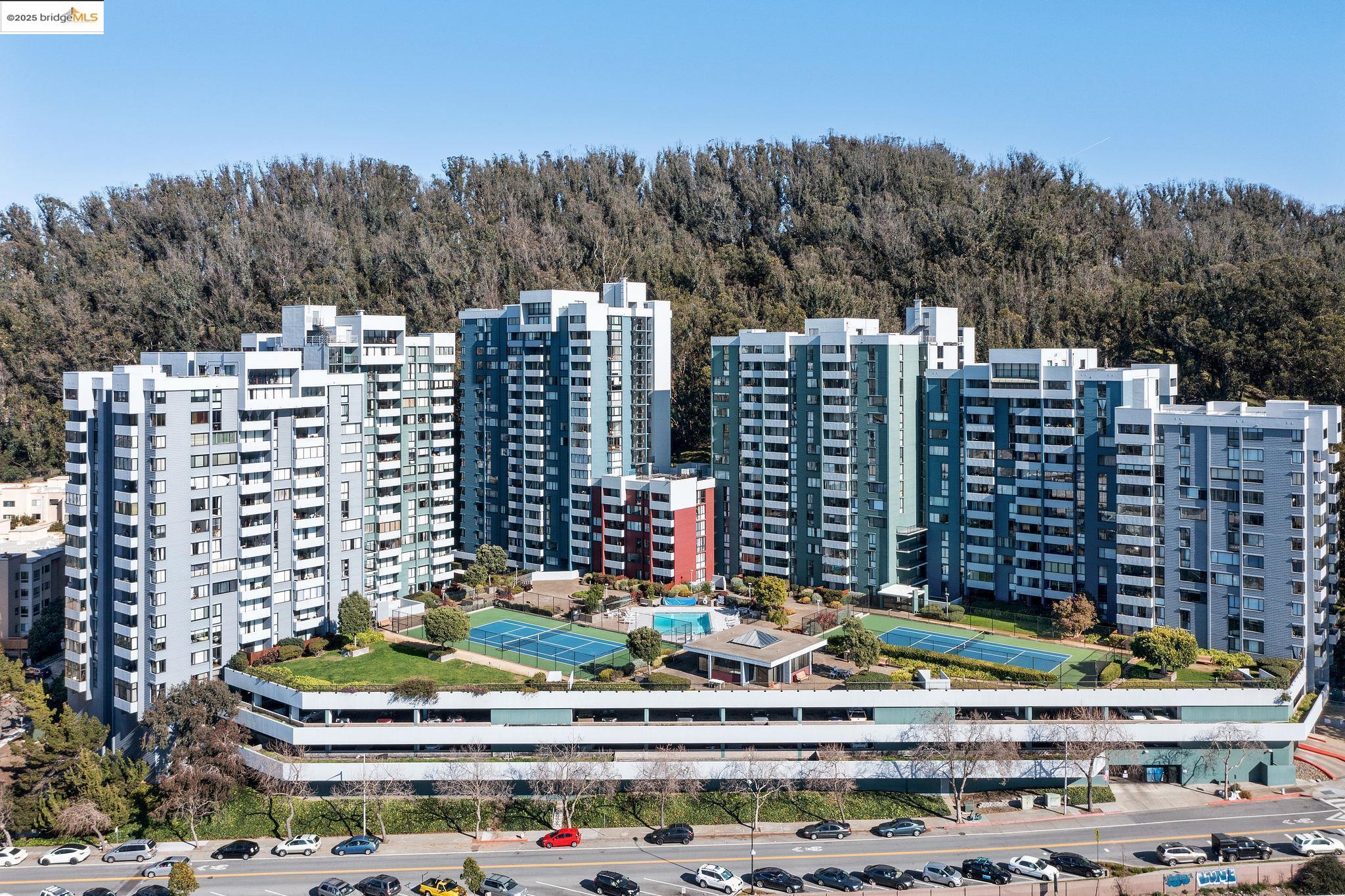 Detail Gallery Image 1 of 60 For 555 Pierce St #203,  Albany,  CA 94706 - 1 Beds | 1 Baths