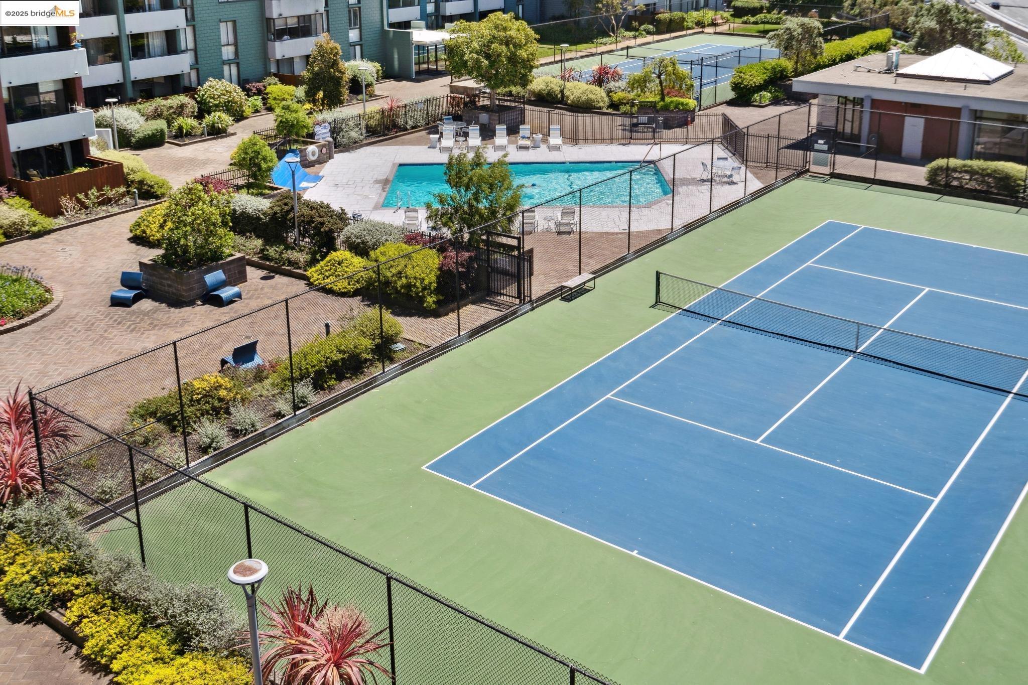Detail Gallery Image 48 of 60 For 555 Pierce St #203,  Albany,  CA 94706 - 1 Beds | 1 Baths