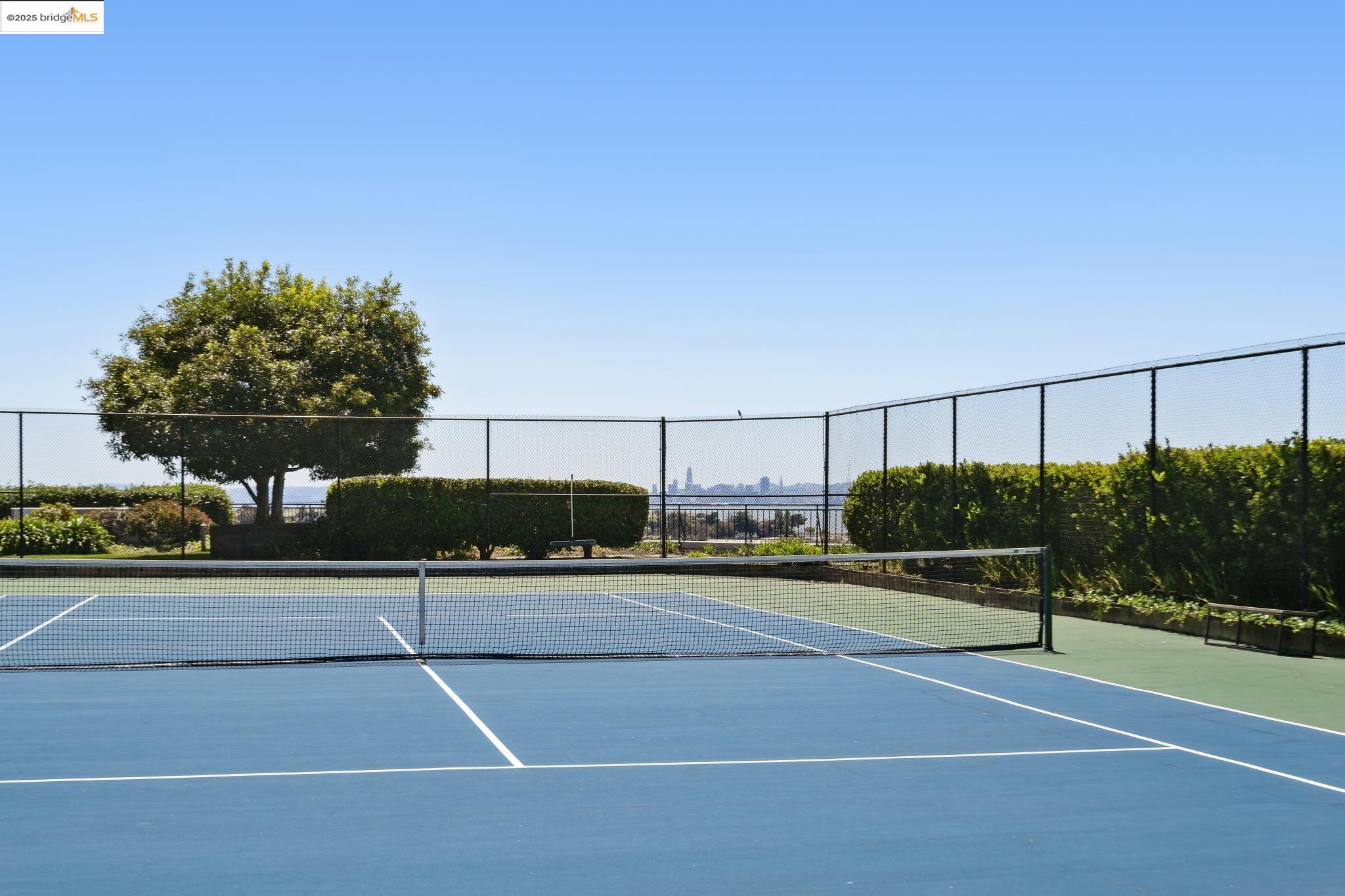 Detail Gallery Image 49 of 60 For 555 Pierce St #203,  Albany,  CA 94706 - 1 Beds | 1 Baths