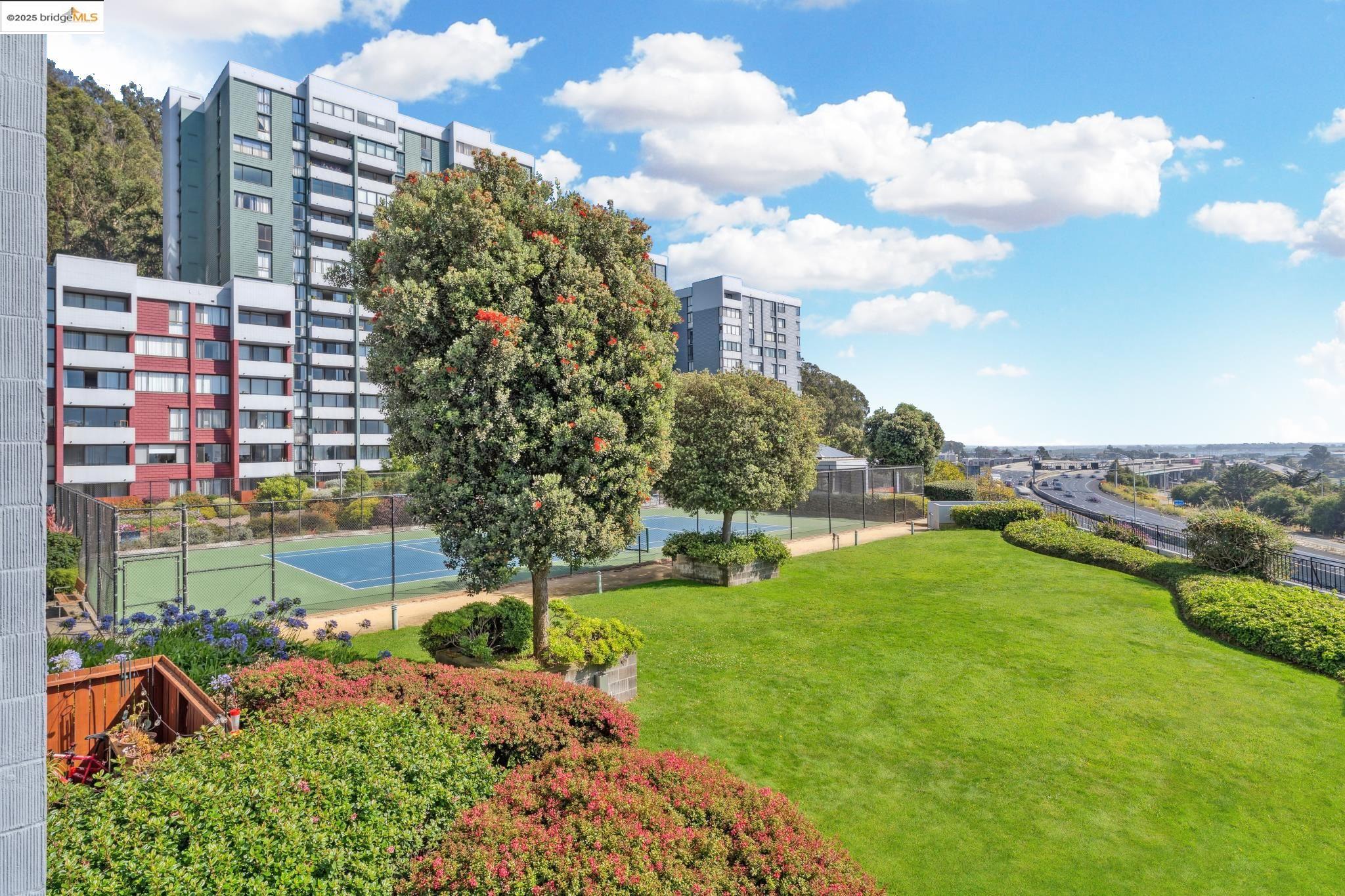 Detail Gallery Image 56 of 60 For 555 Pierce St #203,  Albany,  CA 94706 - 1 Beds | 1 Baths