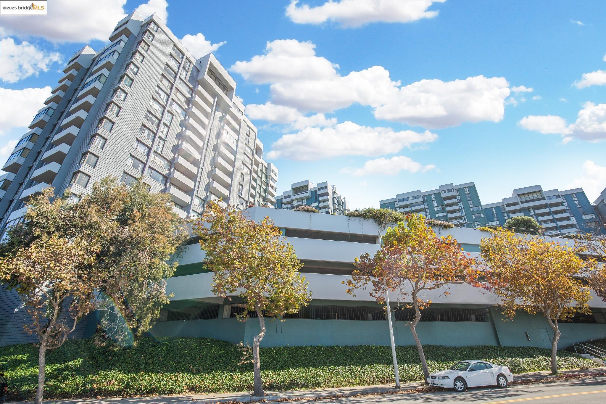 Detail Gallery Image 57 of 60 For 555 Pierce St #203,  Albany,  CA 94706 - 1 Beds | 1 Baths