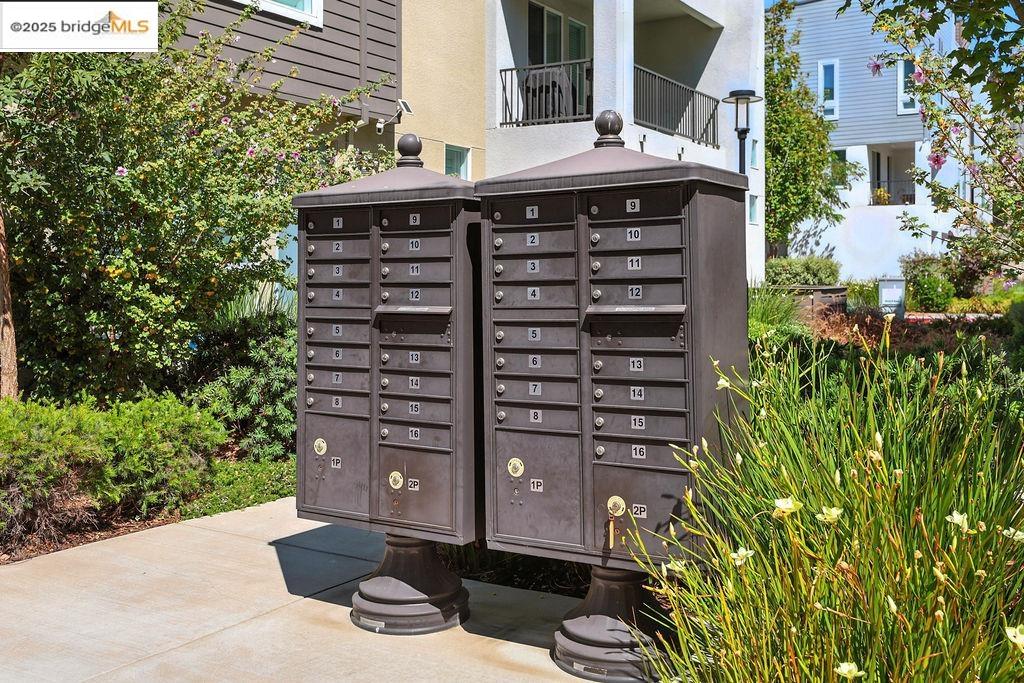 Detail Gallery Image 38 of 42 For 863 Lookout Street, Richmond,  CA 94804 - 3 Beds | 2/1 Baths