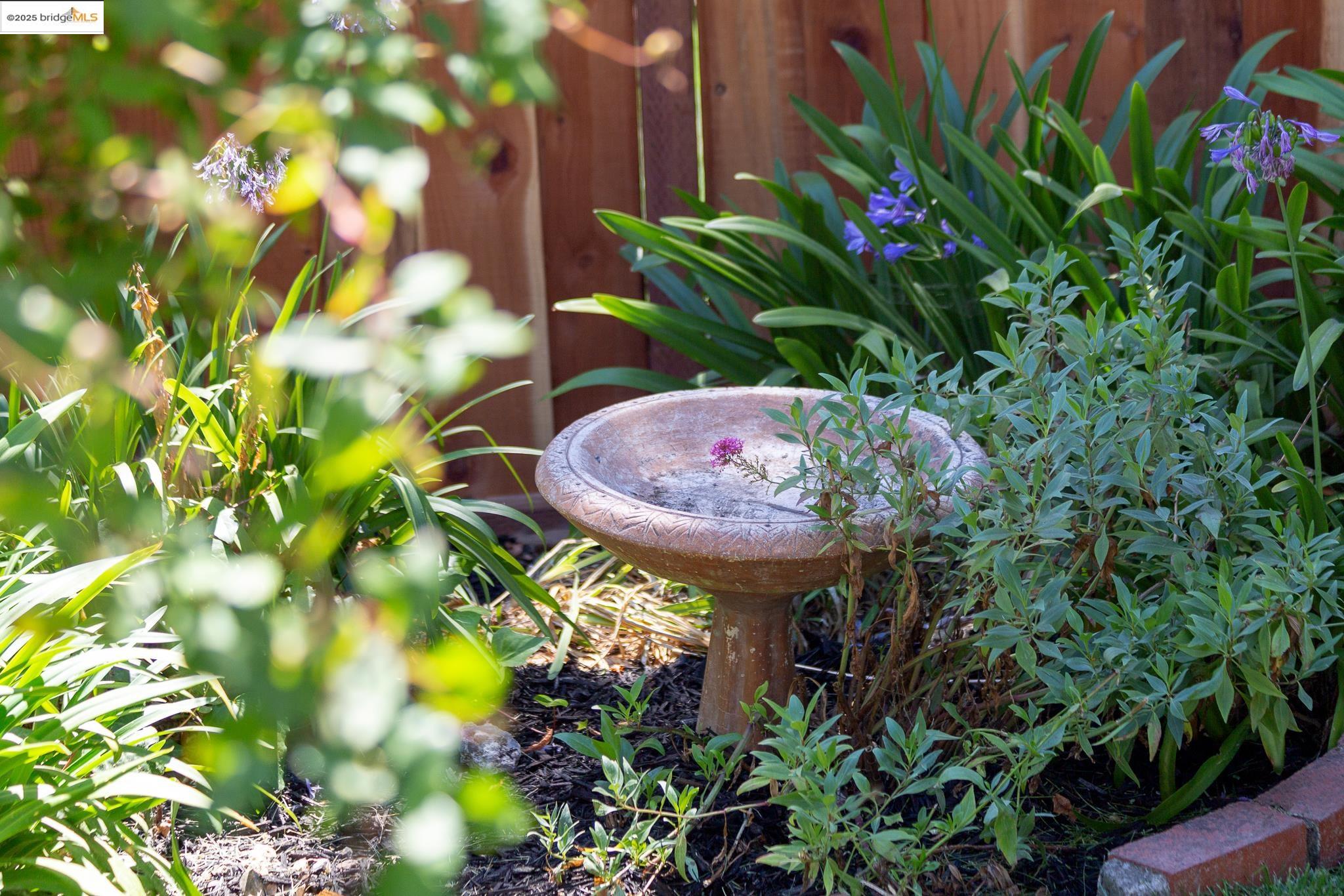 Detail Gallery Image 41 of 43 For 50 Lake Avenue, Piedmont,  CA 94611-0000 - 2 Beds | 2 Baths
