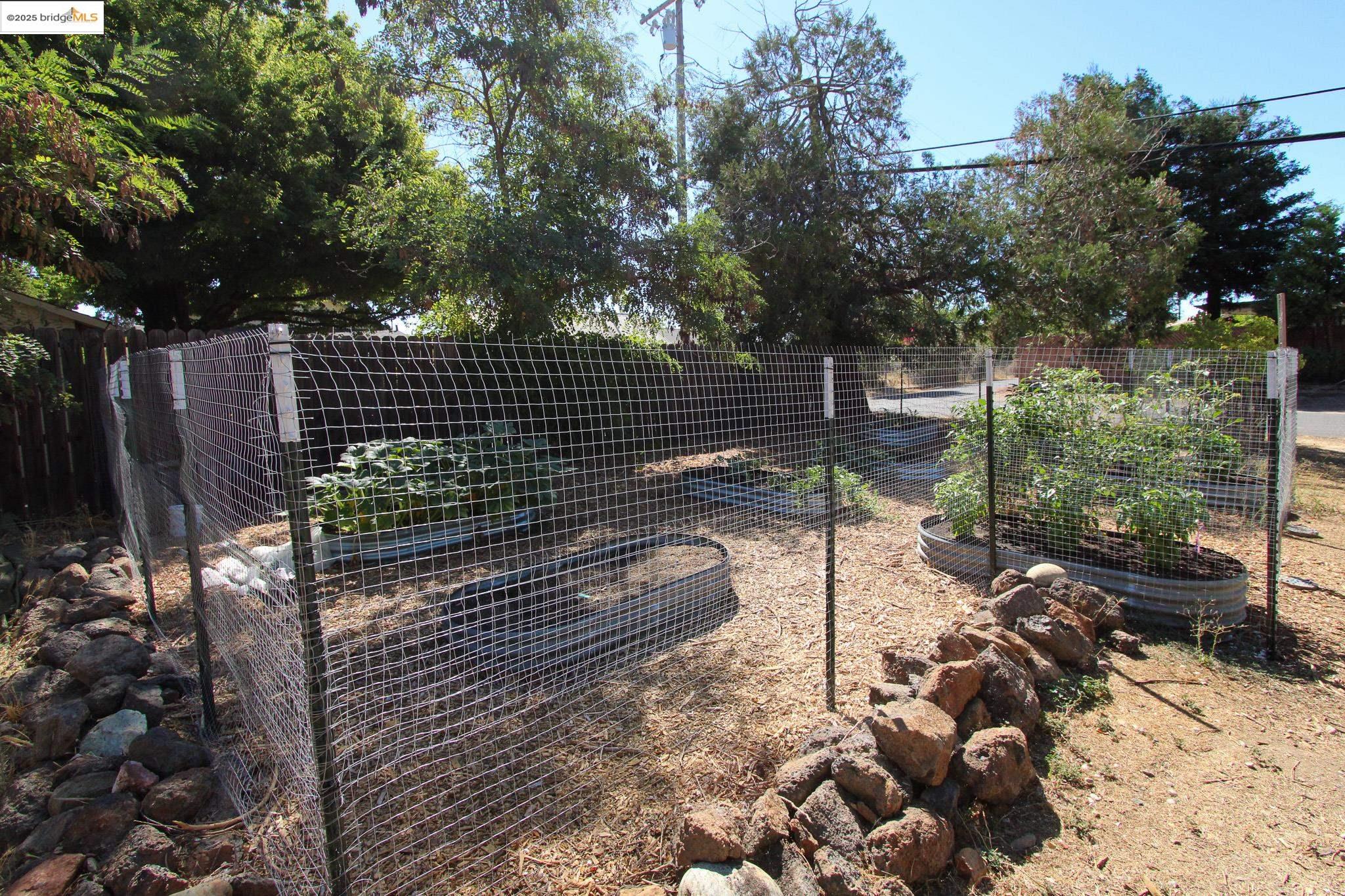 Detail Gallery Image 9 of 31 For 695 Stanislaus Ave, Angels Camp,  CA 95222 - 3 Beds | 1/1 Baths