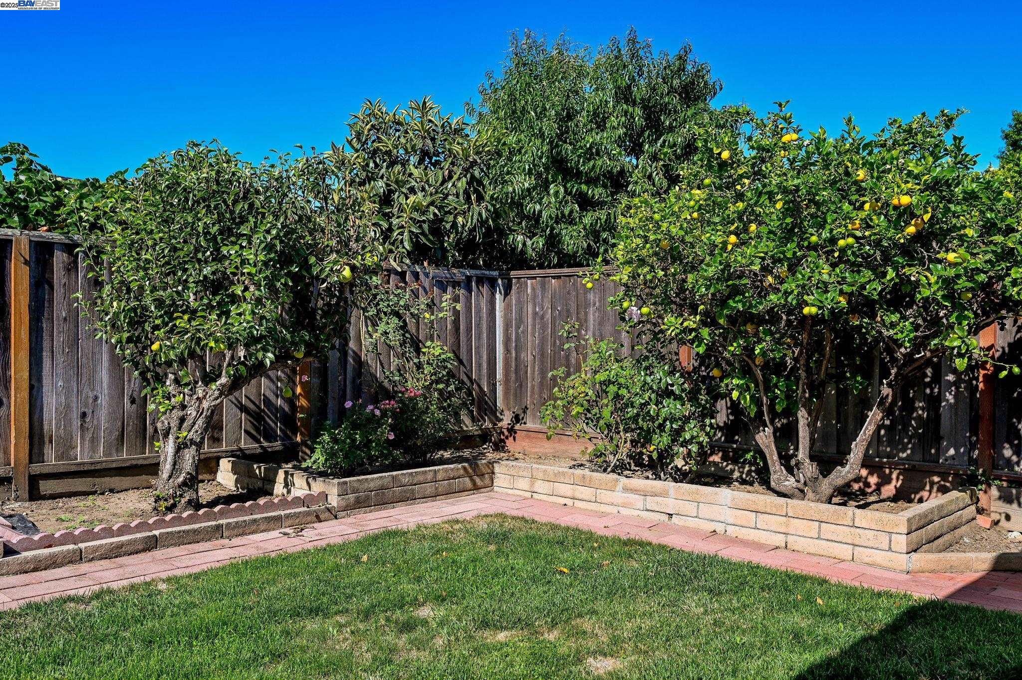 Detail Gallery Image 30 of 31 For 35579 Morley Pl, Fremont,  CA 94536 - 4 Beds | 2 Baths