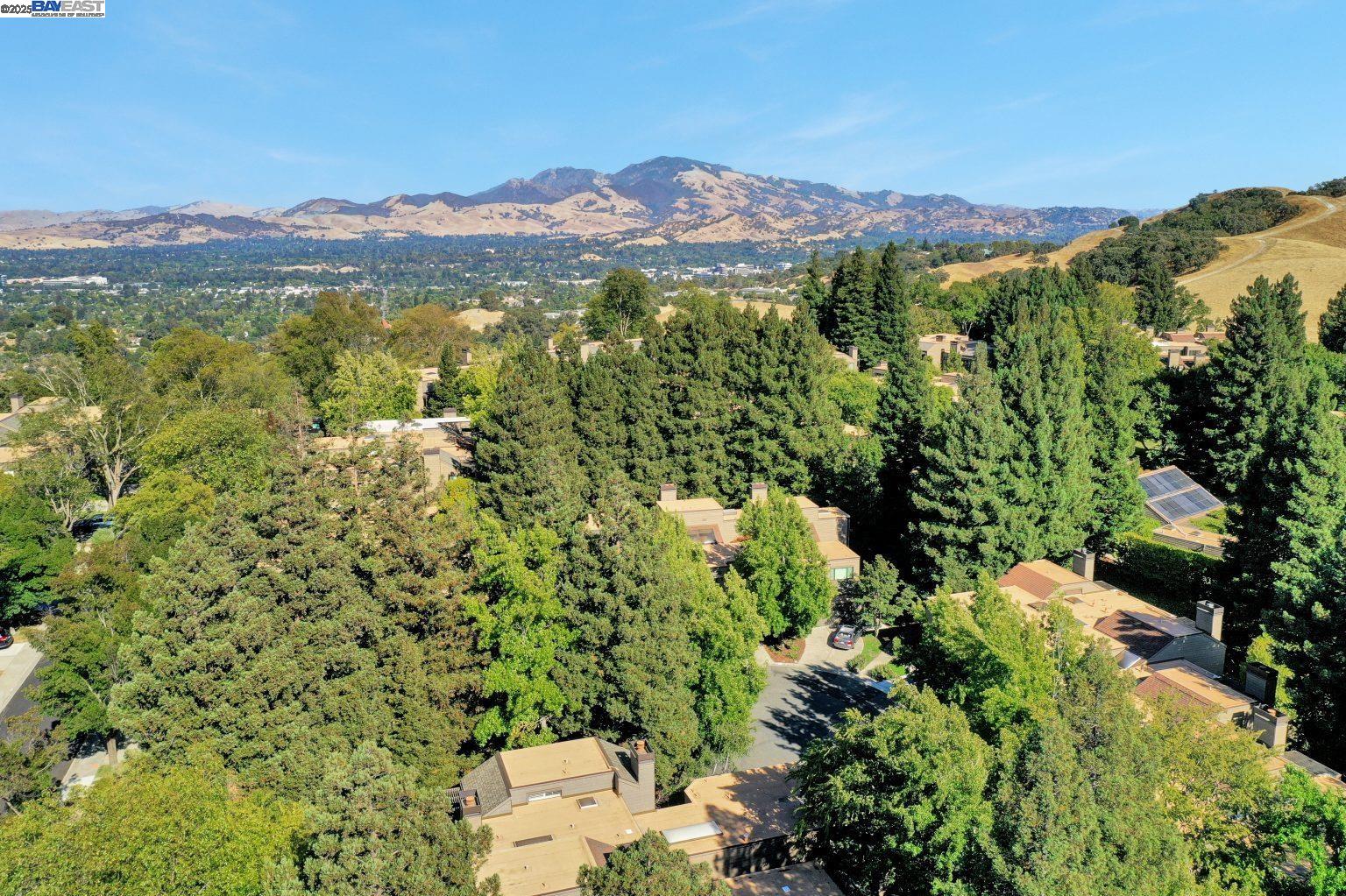 Detail Gallery Image 45 of 47 For 1940 Everidge Ct, Walnut Creek,  CA 94597 - 4 Beds | 2/1 Baths