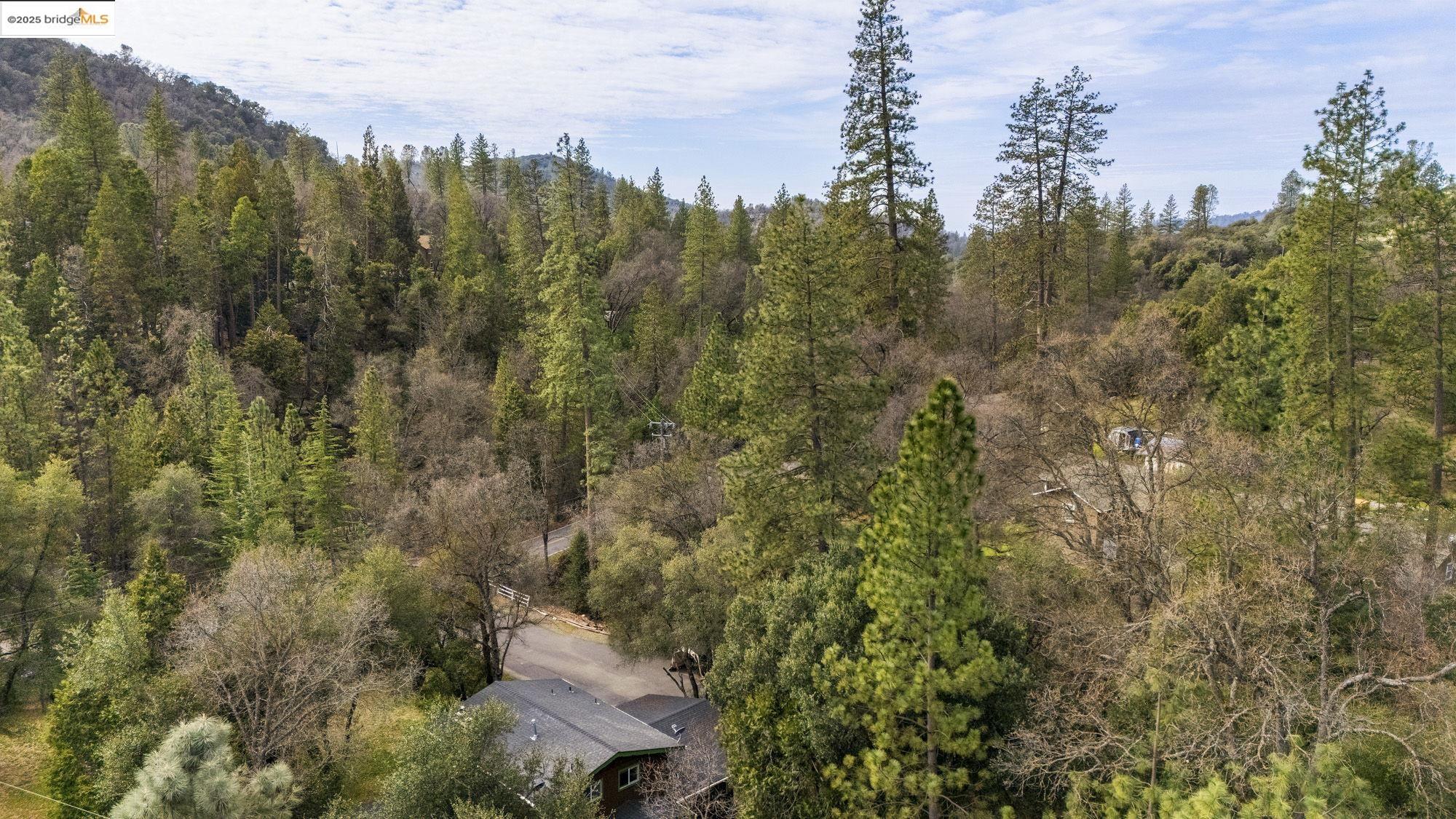 Detail Gallery Image 45 of 50 For 21550 Phoenix Lake Rd, Sonora,  CA 95370 - 4 Beds | 5 Baths