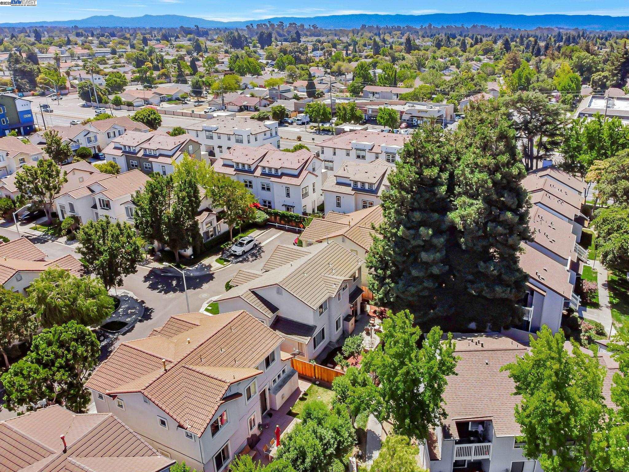 Detail Gallery Image 48 of 52 For 3840 Springfield Cmn, Fremont,  CA 94555 - 4 Beds | 2/1 Baths