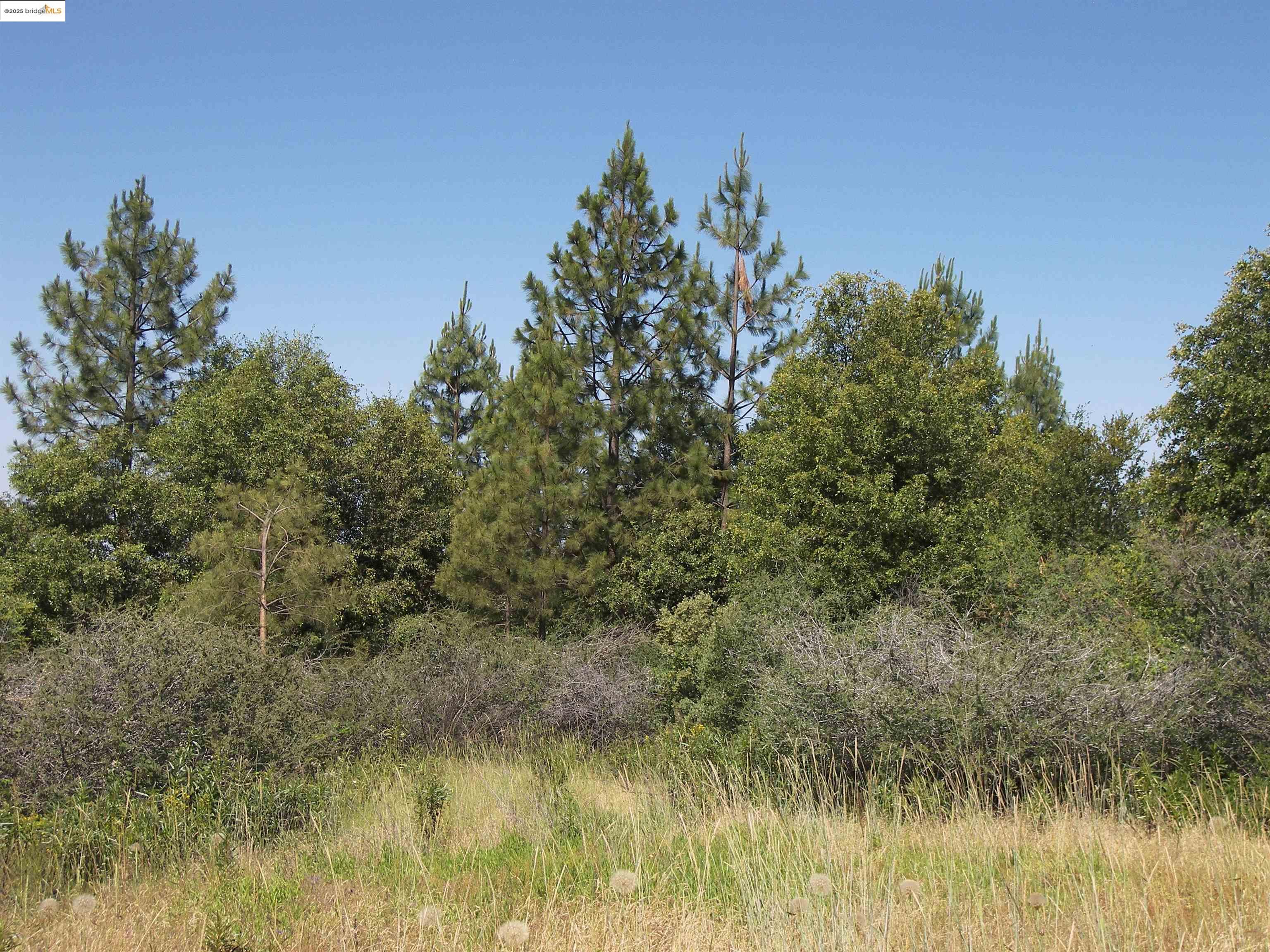 Detail Gallery Image 1 of 18 For 19290 Yosemite Springs Rd, Groveland,  CA 95321 - – Beds | – Baths