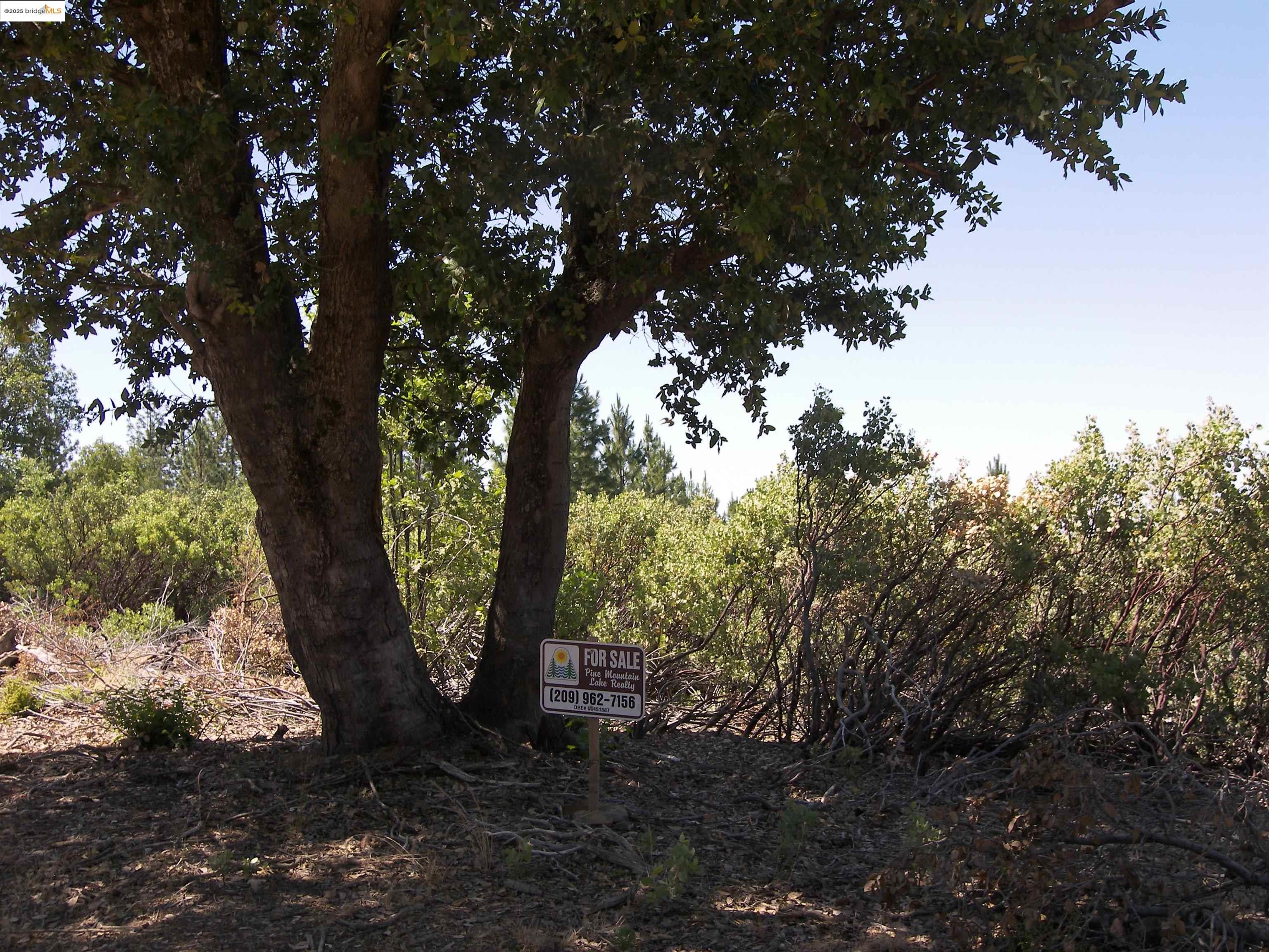 Detail Gallery Image 13 of 18 For 19290 Yosemite Springs Rd, Groveland,  CA 95321 - – Beds | – Baths