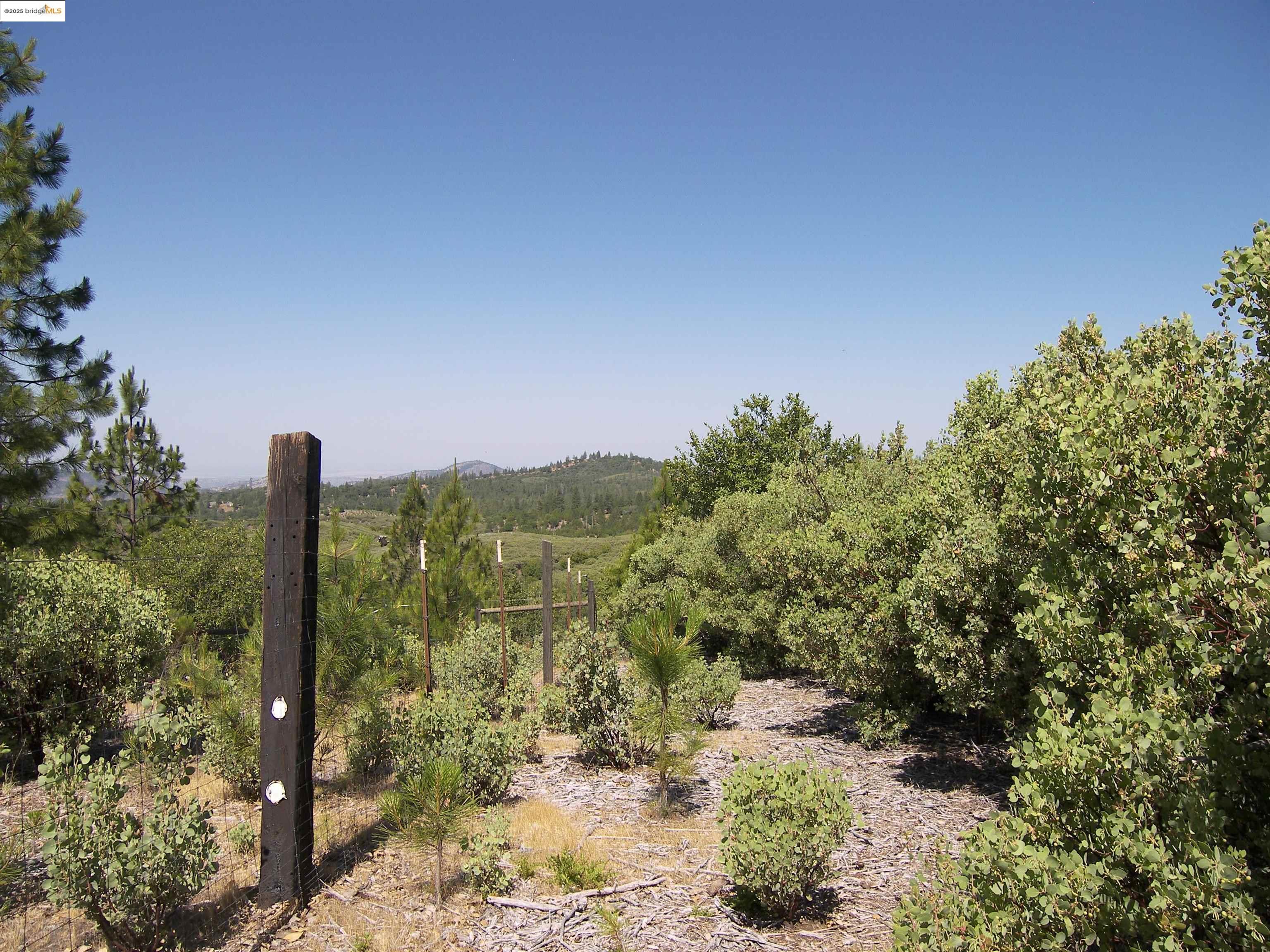 Detail Gallery Image 15 of 18 For 19290 Yosemite Springs Rd, Groveland,  CA 95321 - – Beds | – Baths