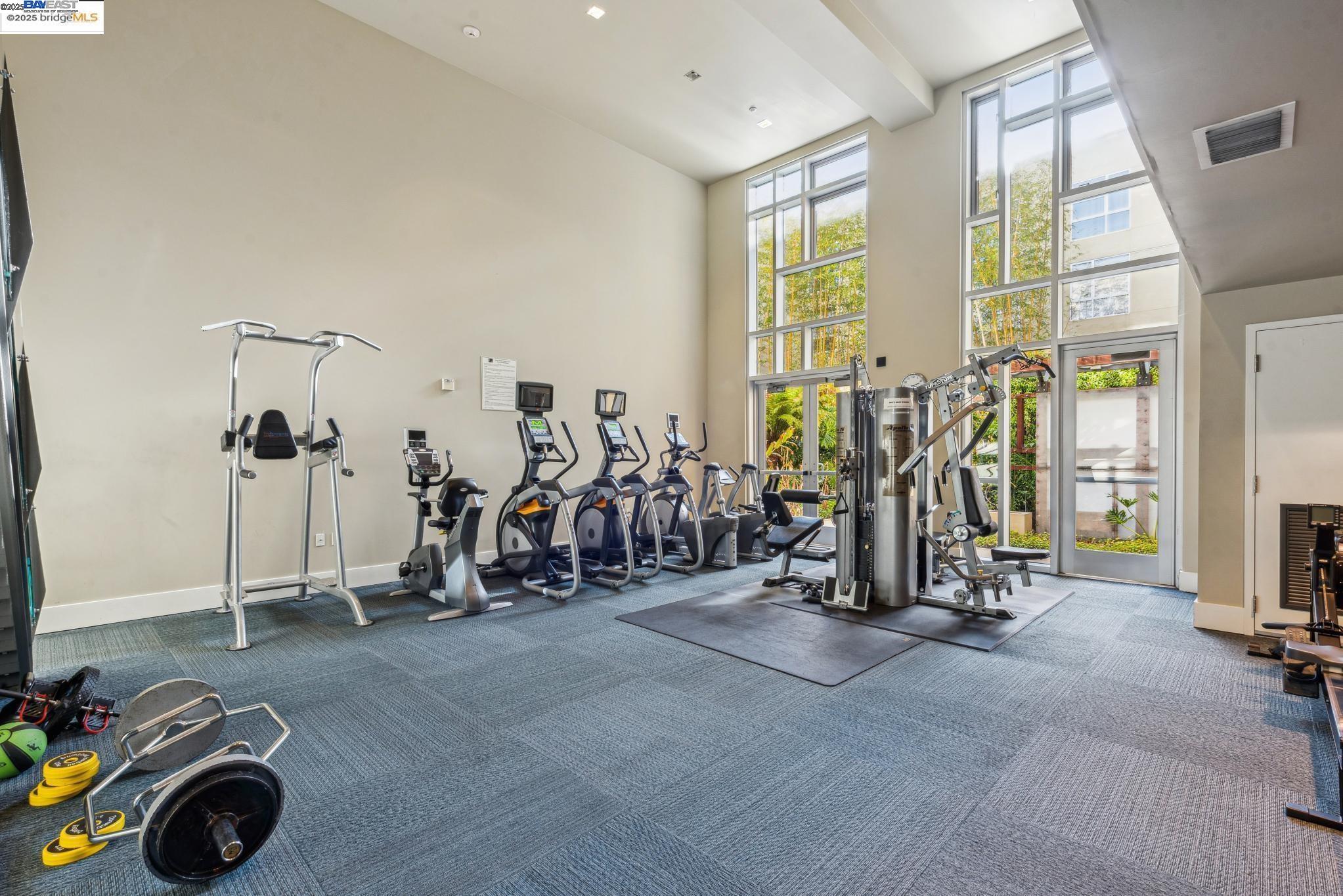 Photo #6: 41109345 Listing 