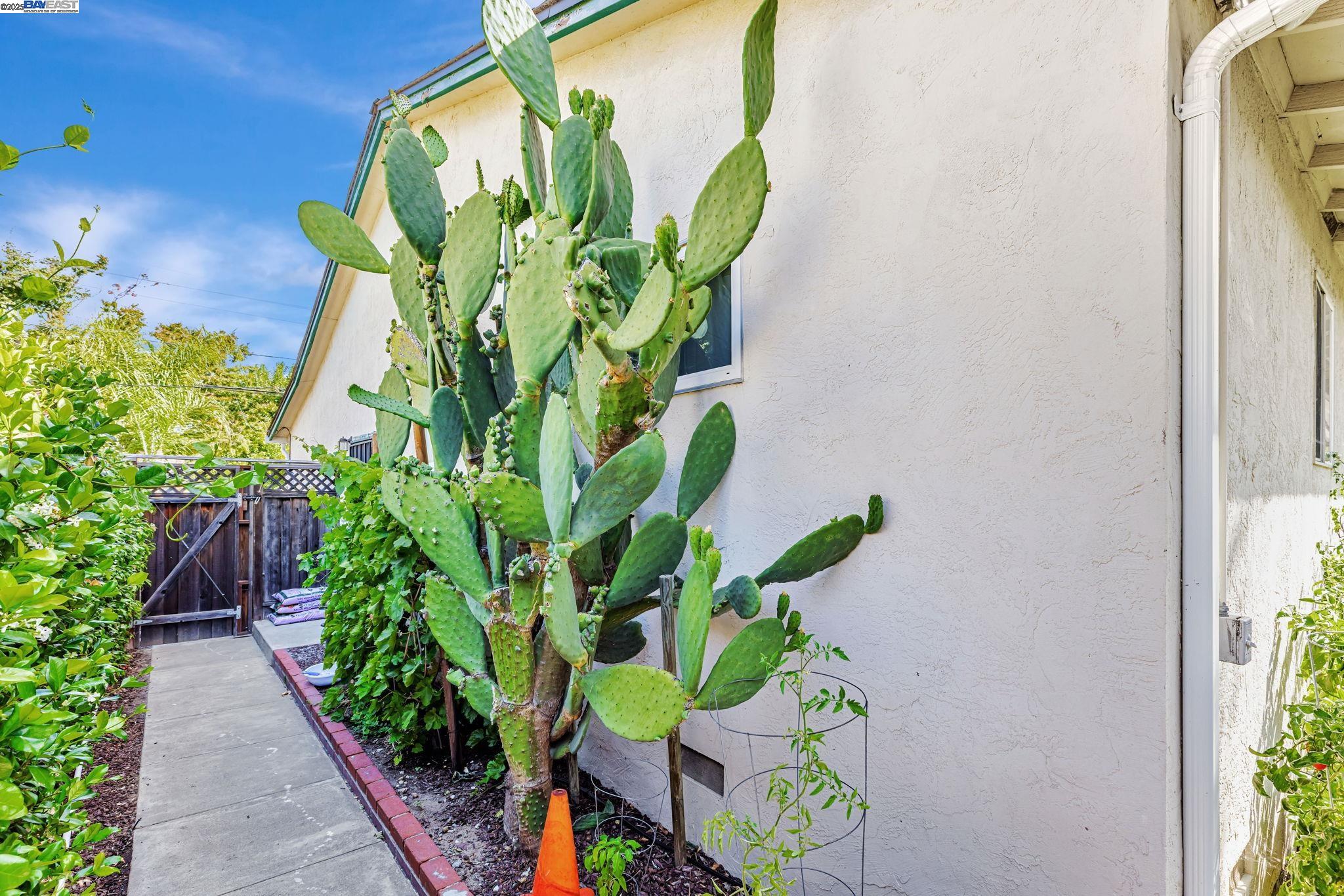 Detail Gallery Image 11 of 11 For 1027 Redondo Way, Livermore,  CA 94550 - 3 Beds | 2 Baths