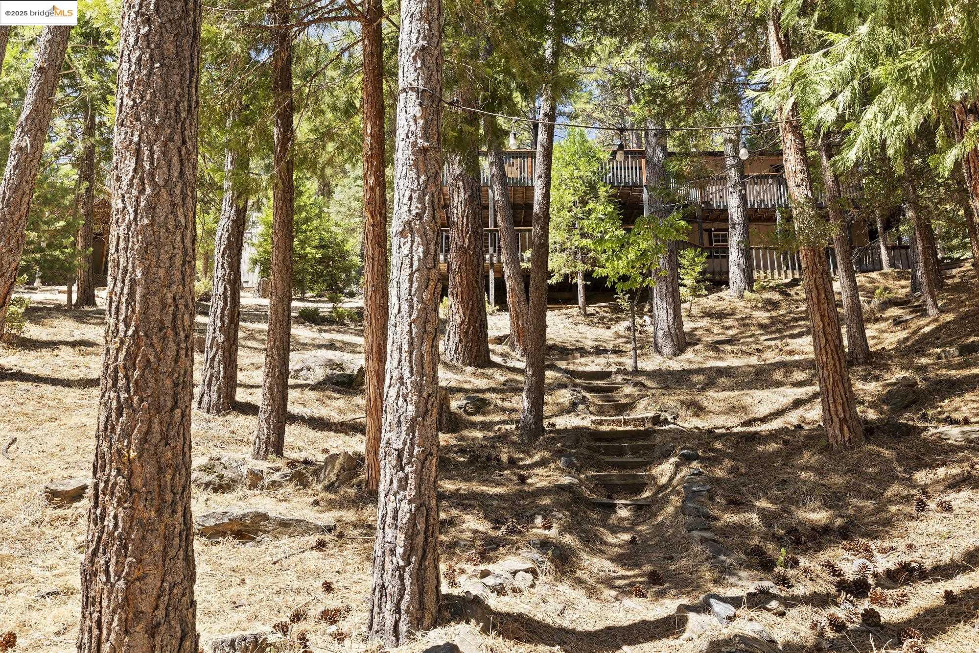 Detail Gallery Image 33 of 60 For 19824 Pine Mountain Dr, Groveland,  CA 95321 - 3 Beds | 2 Baths