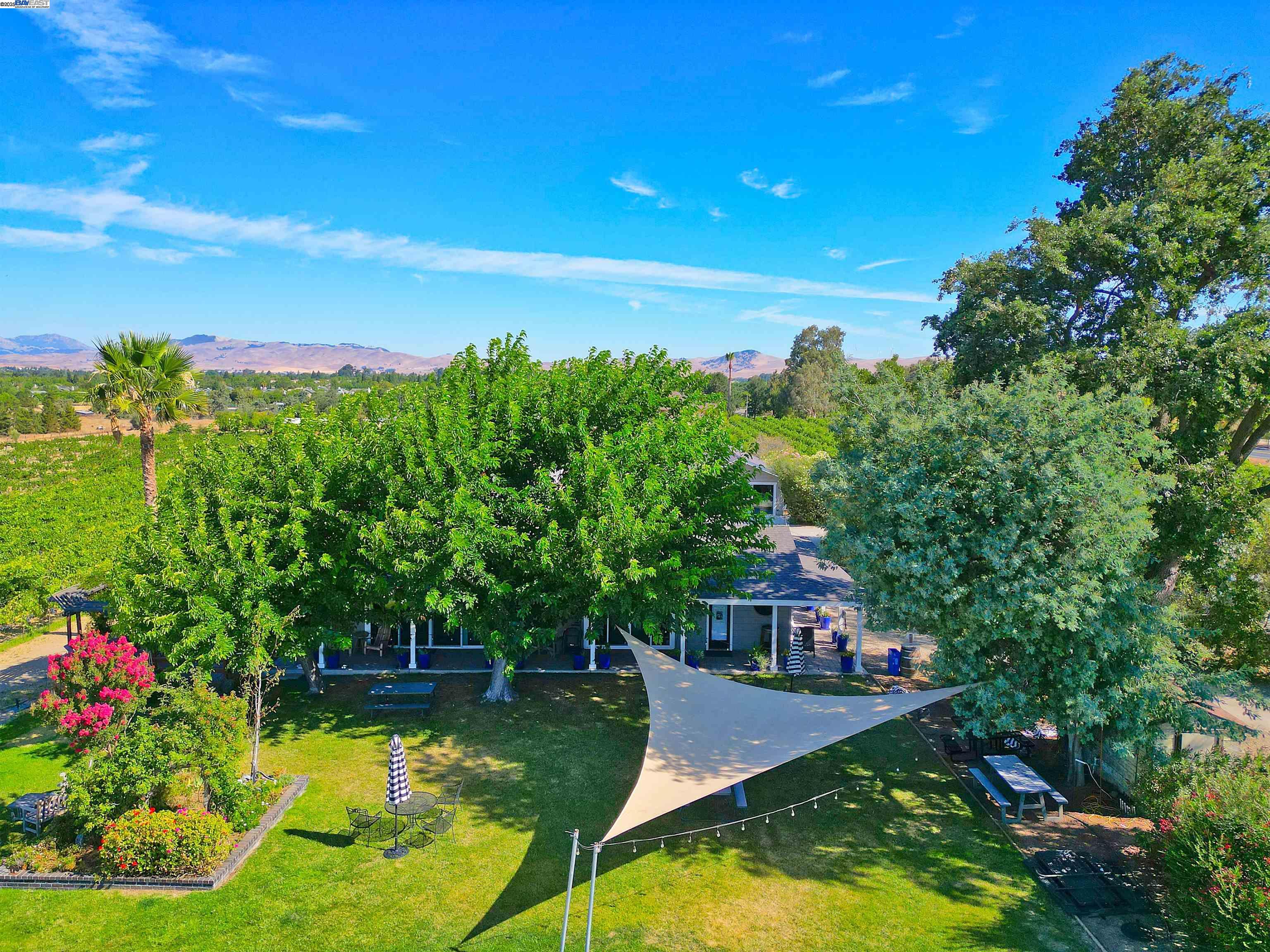 Detail Gallery Image 6 of 49 For 2915 S Vasco Rd, Livermore,  CA 94550 - 4 Beds | 4 Baths