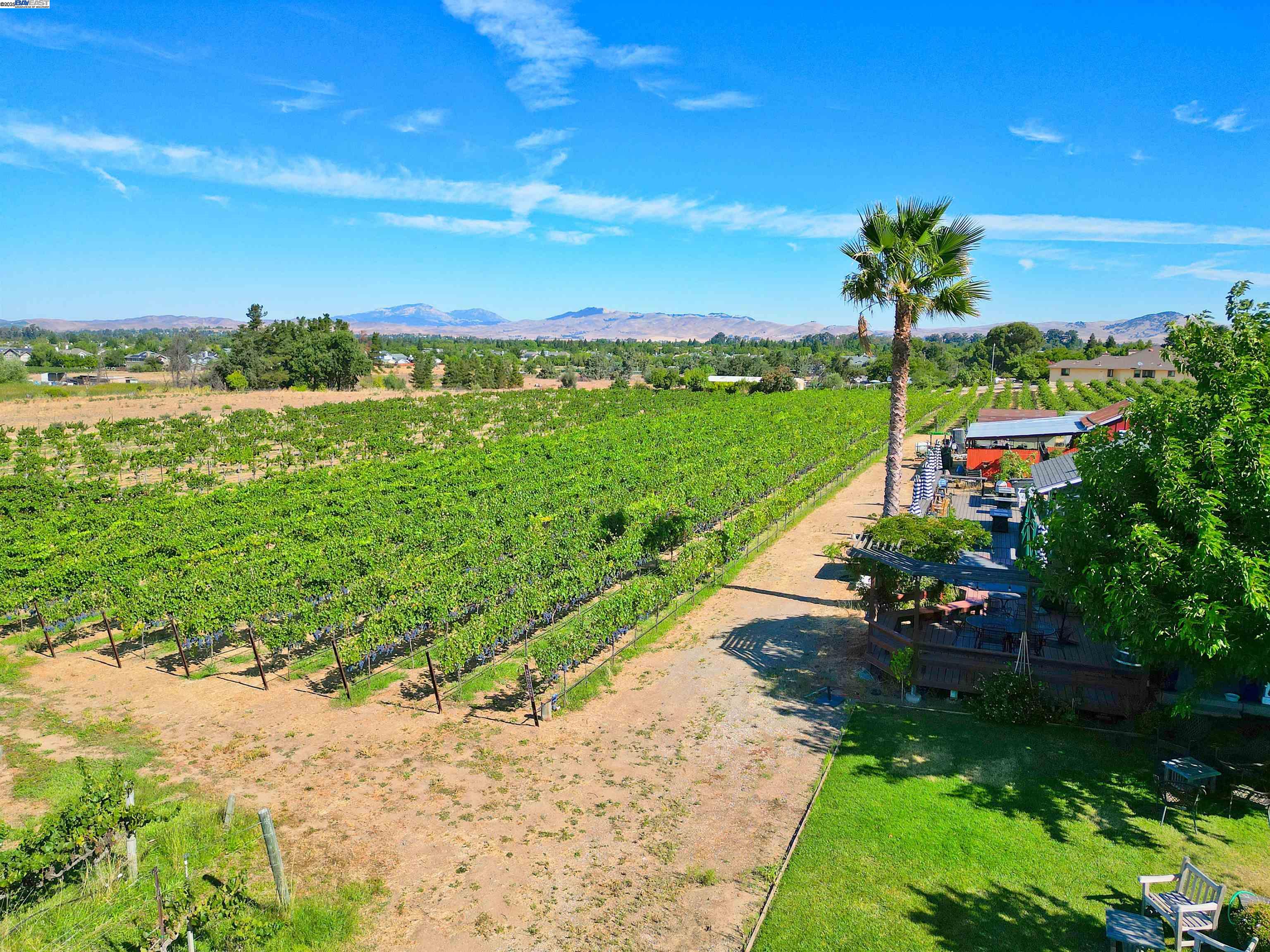 Detail Gallery Image 7 of 49 For 2915 S Vasco Rd, Livermore,  CA 94550 - 4 Beds | 4 Baths
