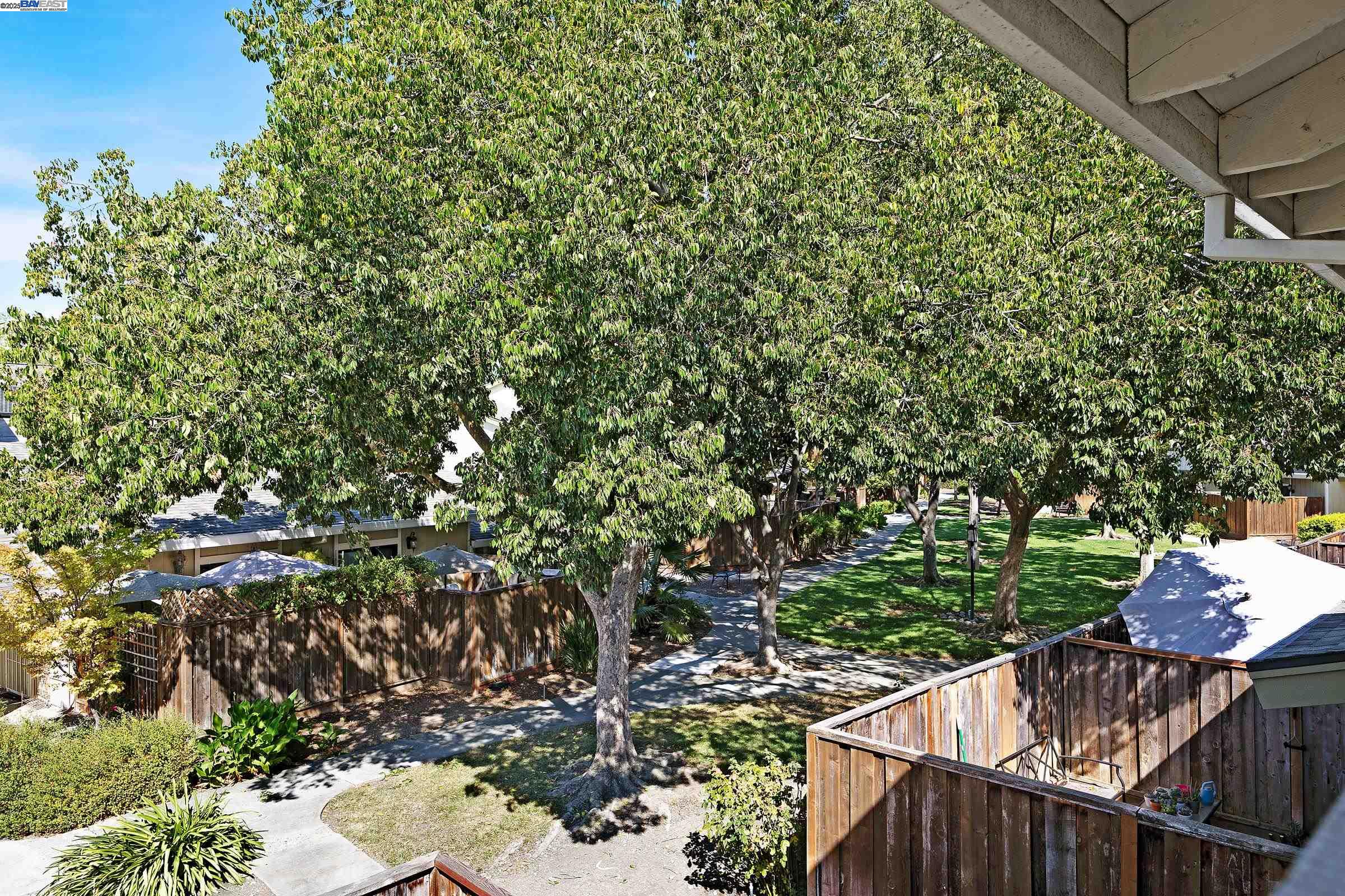 Photo #30: 41109416 Listing: Photo #30