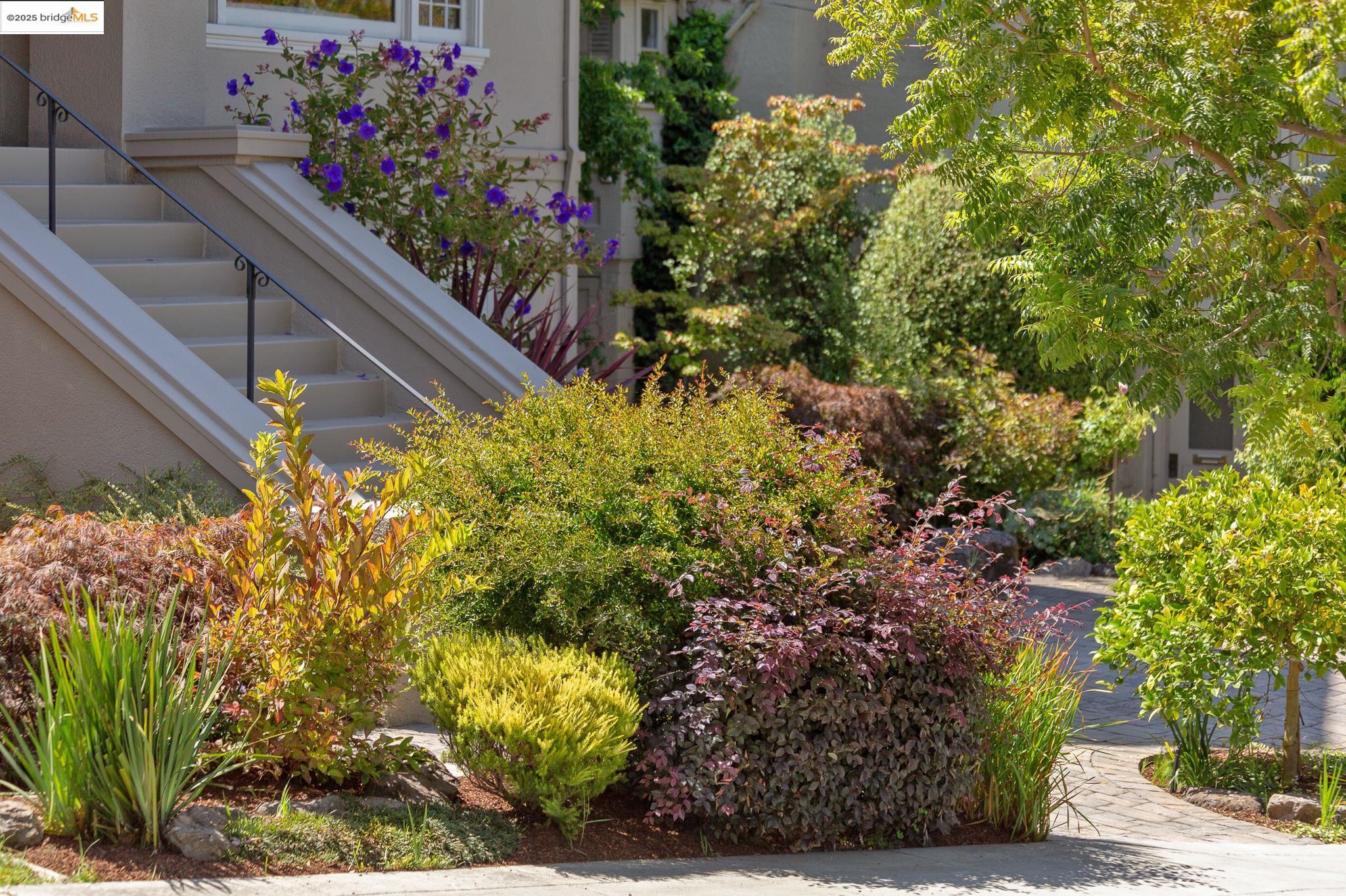 Detail Gallery Image 55 of 56 For 541 Boulevard Way, Piedmont,  CA 94610 - 3 Beds | 2 Baths