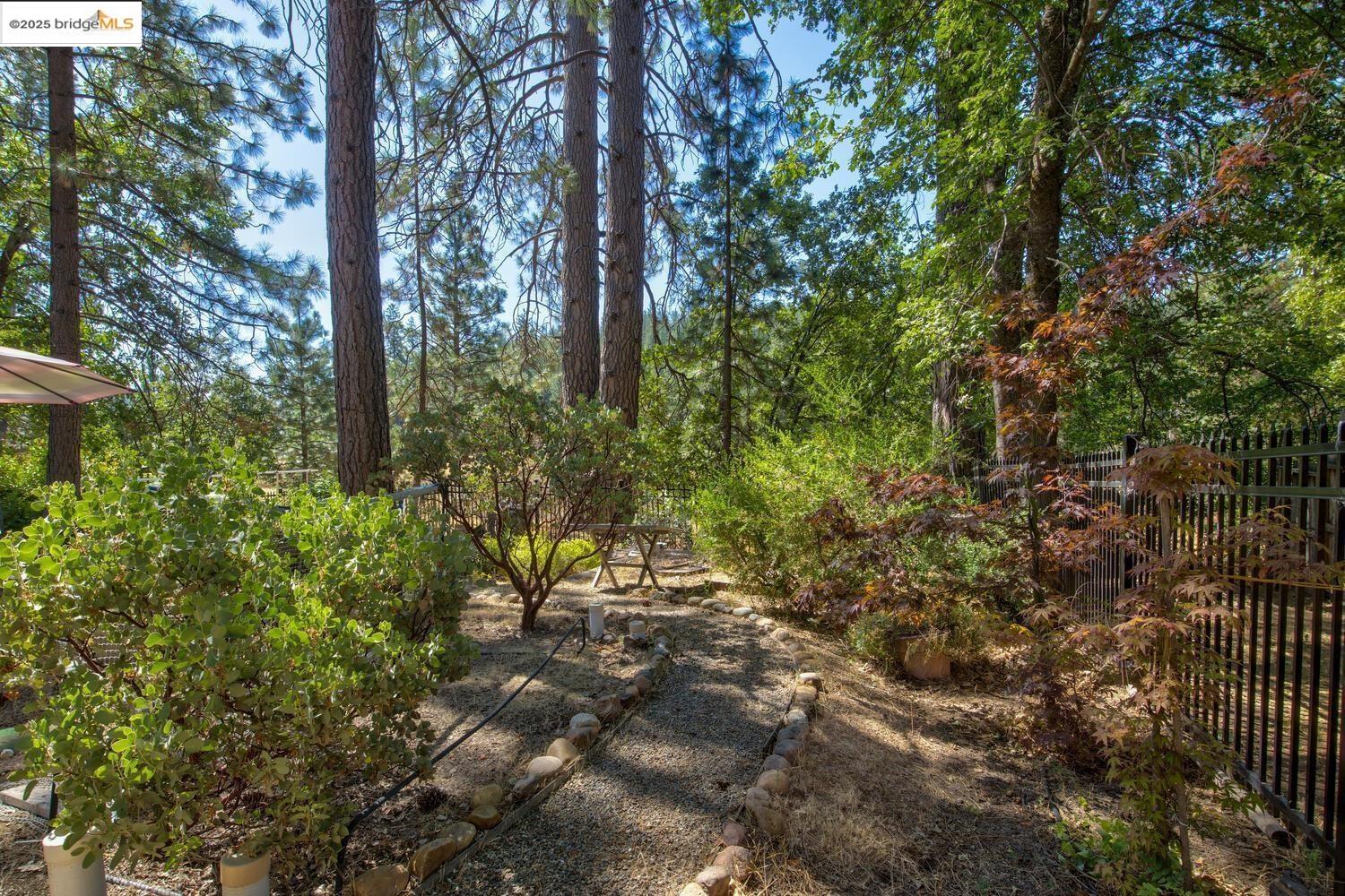 Detail Gallery Image 11 of 59 For 105 Avery Sheep Ranch Rd, Avery,  CA 95224 - 3 Beds | 3 Baths