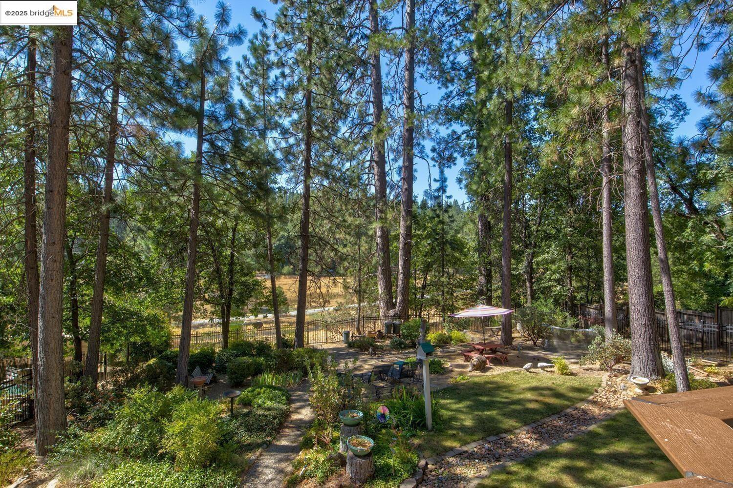 Detail Gallery Image 4 of 59 For 105 Avery Sheep Ranch Rd, Avery,  CA 95224 - 3 Beds | 3 Baths