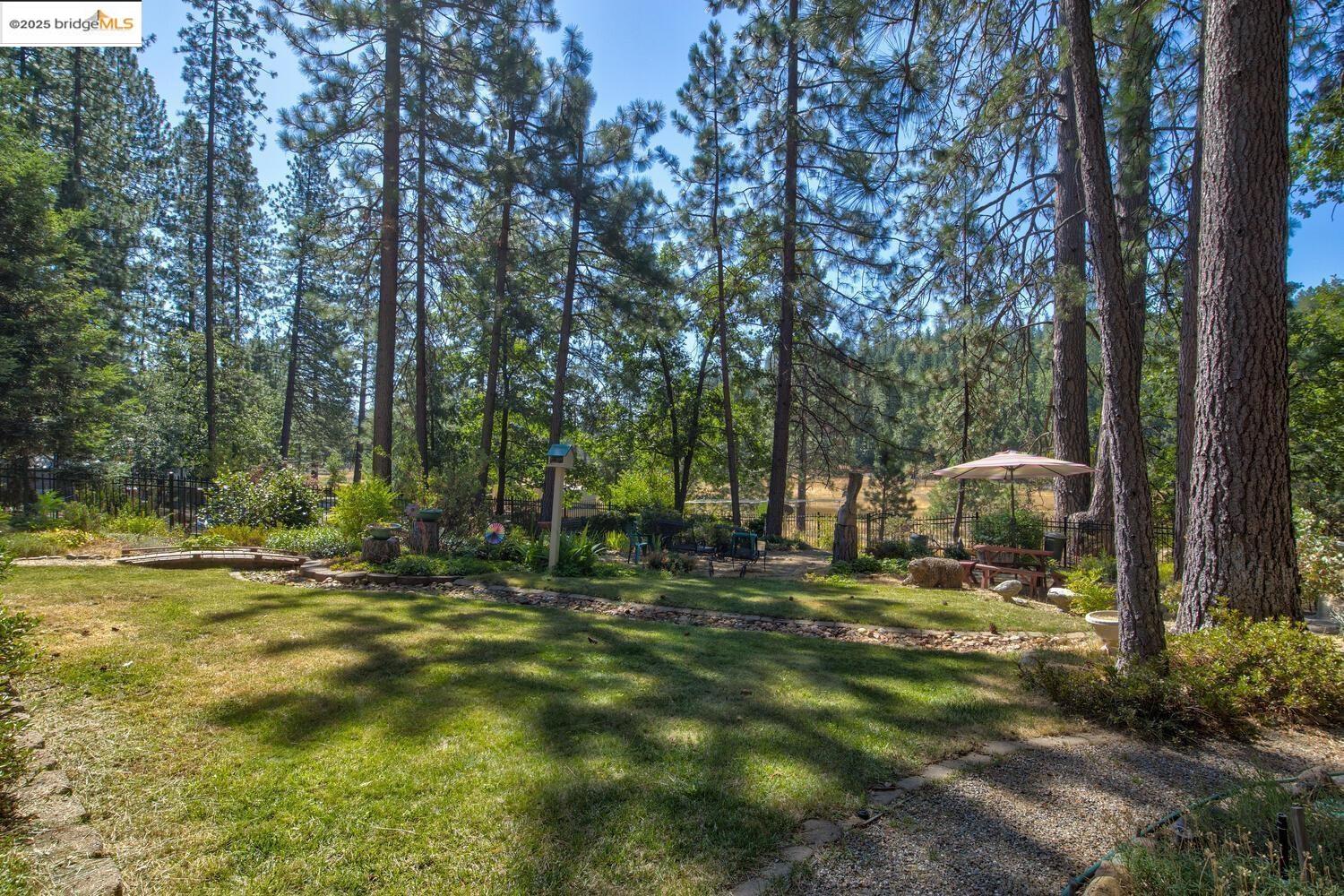 Detail Gallery Image 45 of 59 For 105 Avery Sheep Ranch Rd, Avery,  CA 95224 - 3 Beds | 3 Baths