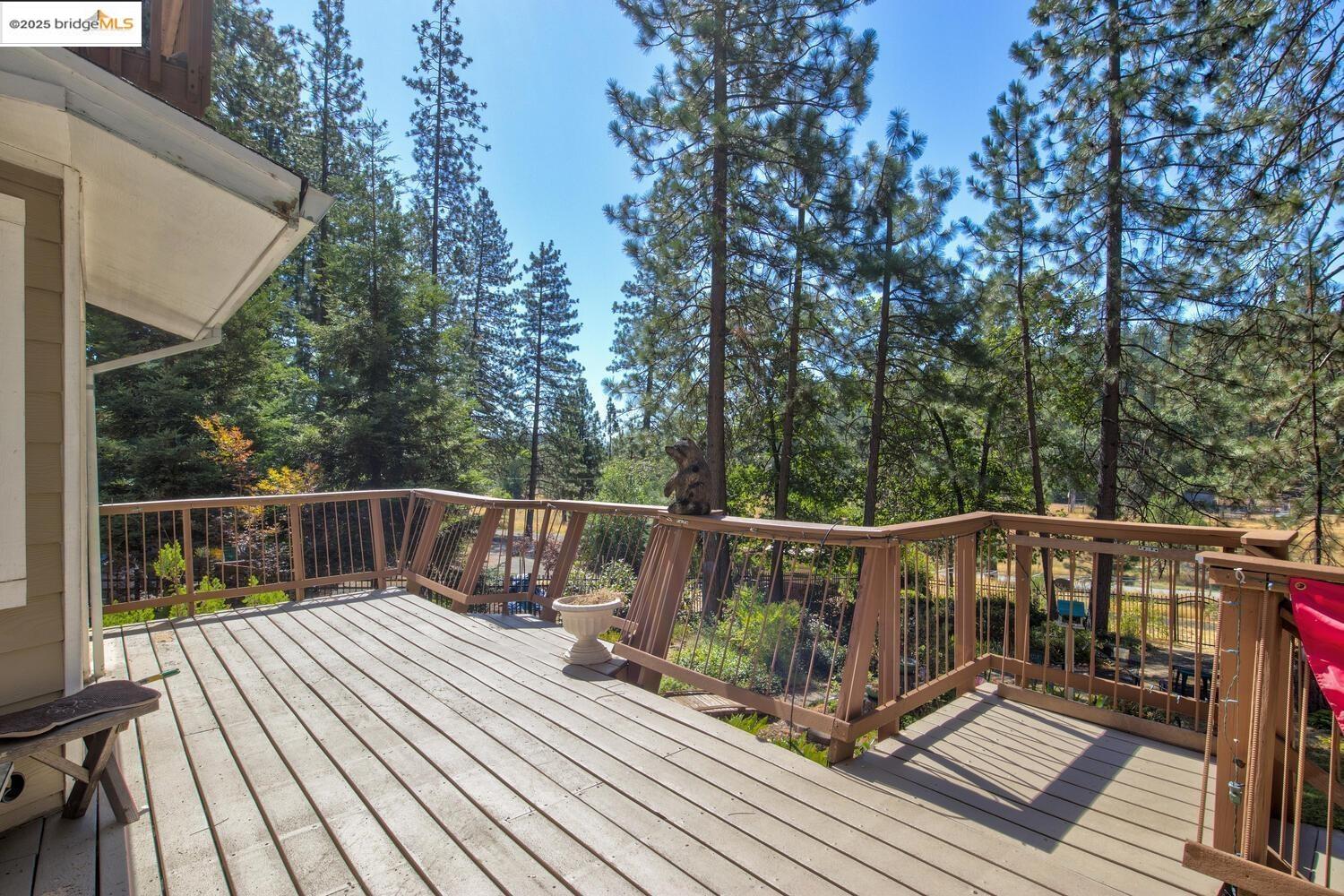 Detail Gallery Image 46 of 59 For 105 Avery Sheep Ranch Rd, Avery,  CA 95224 - 3 Beds | 3 Baths