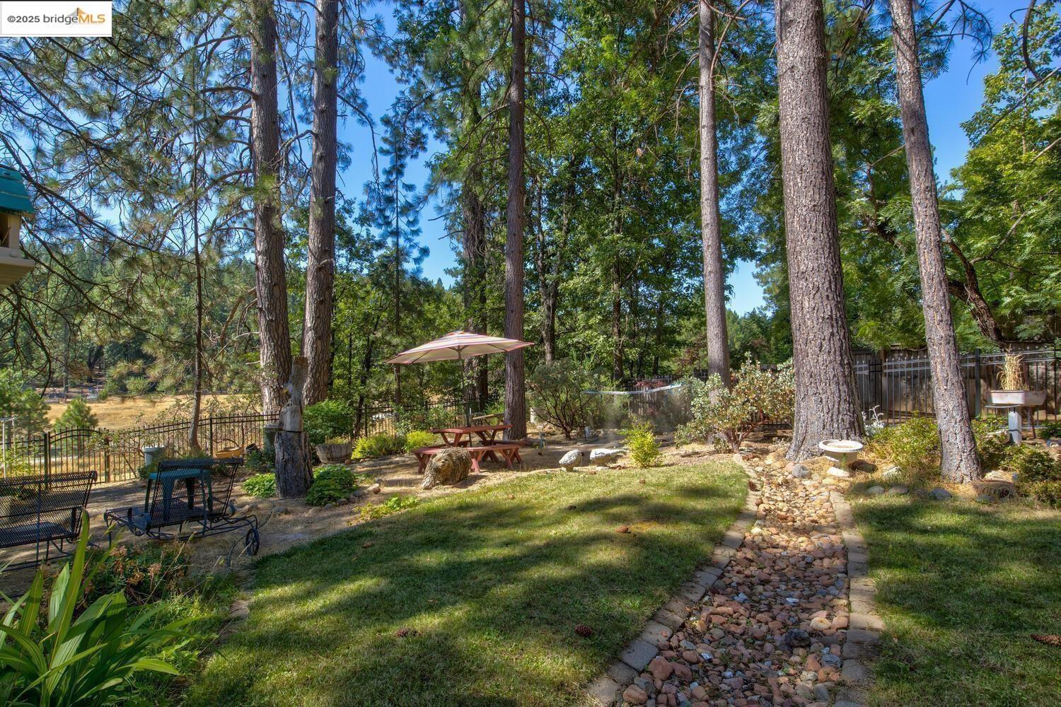 Detail Gallery Image 47 of 59 For 105 Avery Sheep Ranch Rd, Avery,  CA 95224 - 3 Beds | 3 Baths