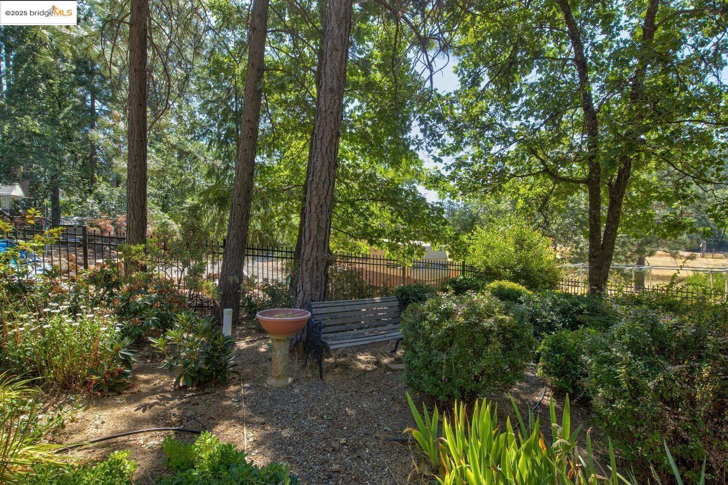 Detail Gallery Image 48 of 59 For 105 Avery Sheep Ranch Rd, Avery,  CA 95224 - 3 Beds | 3 Baths