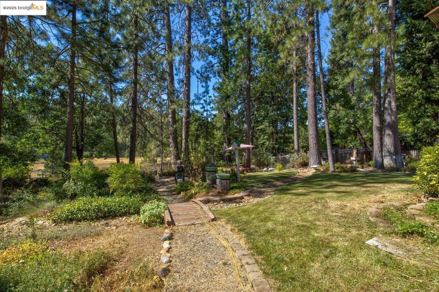 Detail Gallery Image 49 of 59 For 105 Avery Sheep Ranch Rd, Avery,  CA 95224 - 3 Beds | 3 Baths