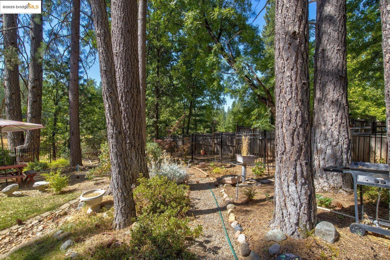 Detail Gallery Image 55 of 59 For 105 Avery Sheep Ranch Rd, Avery,  CA 95224 - 3 Beds | 3 Baths