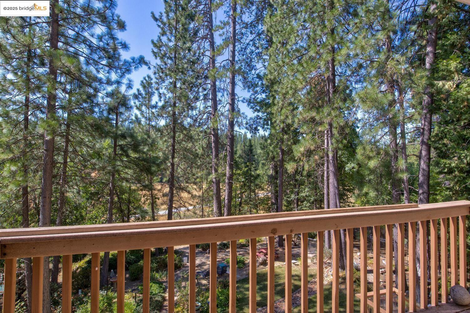 Detail Gallery Image 7 of 59 For 105 Avery Sheep Ranch Rd, Avery,  CA 95224 - 3 Beds | 3 Baths