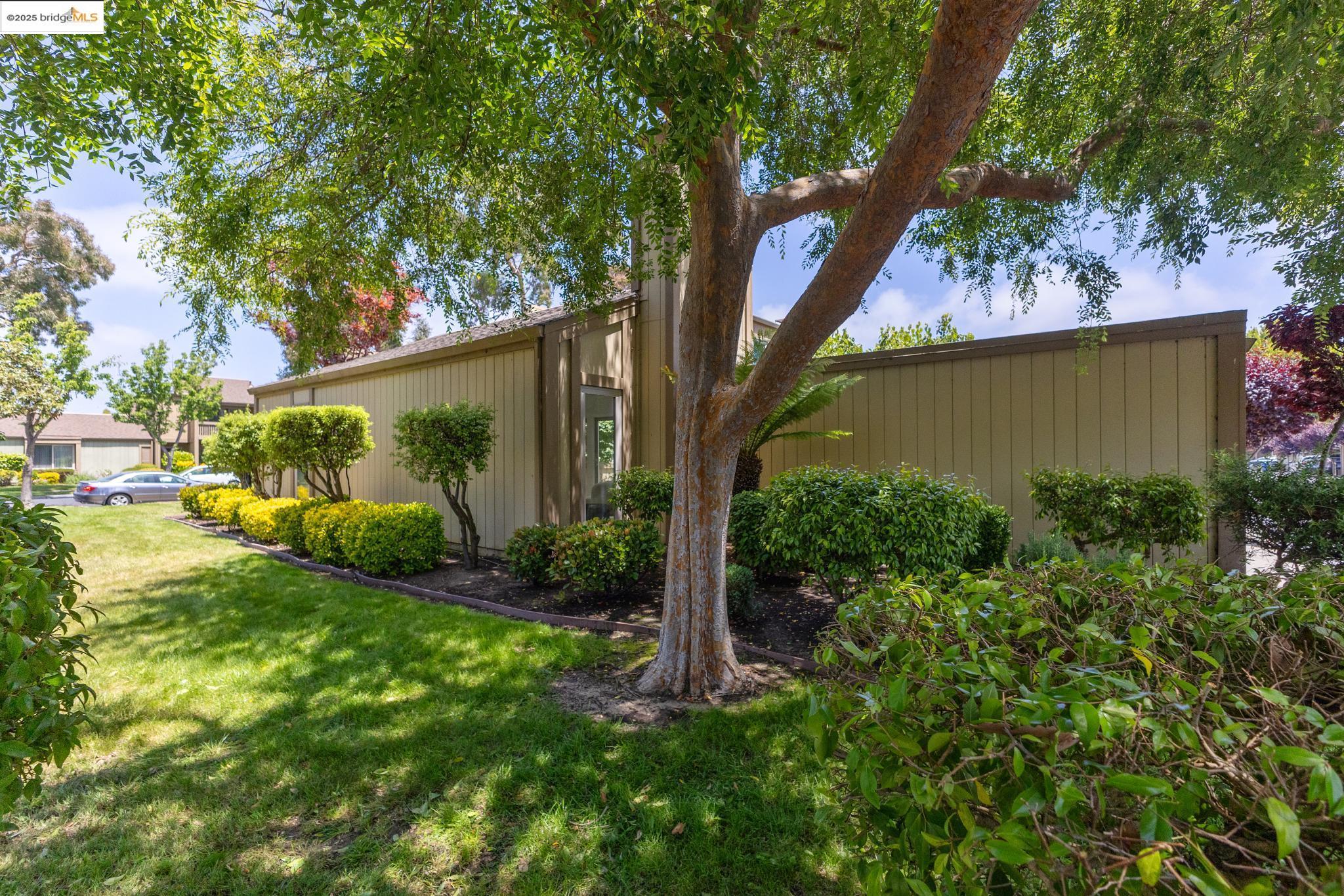 Photo #48: 41109457 Listing: Photo #48