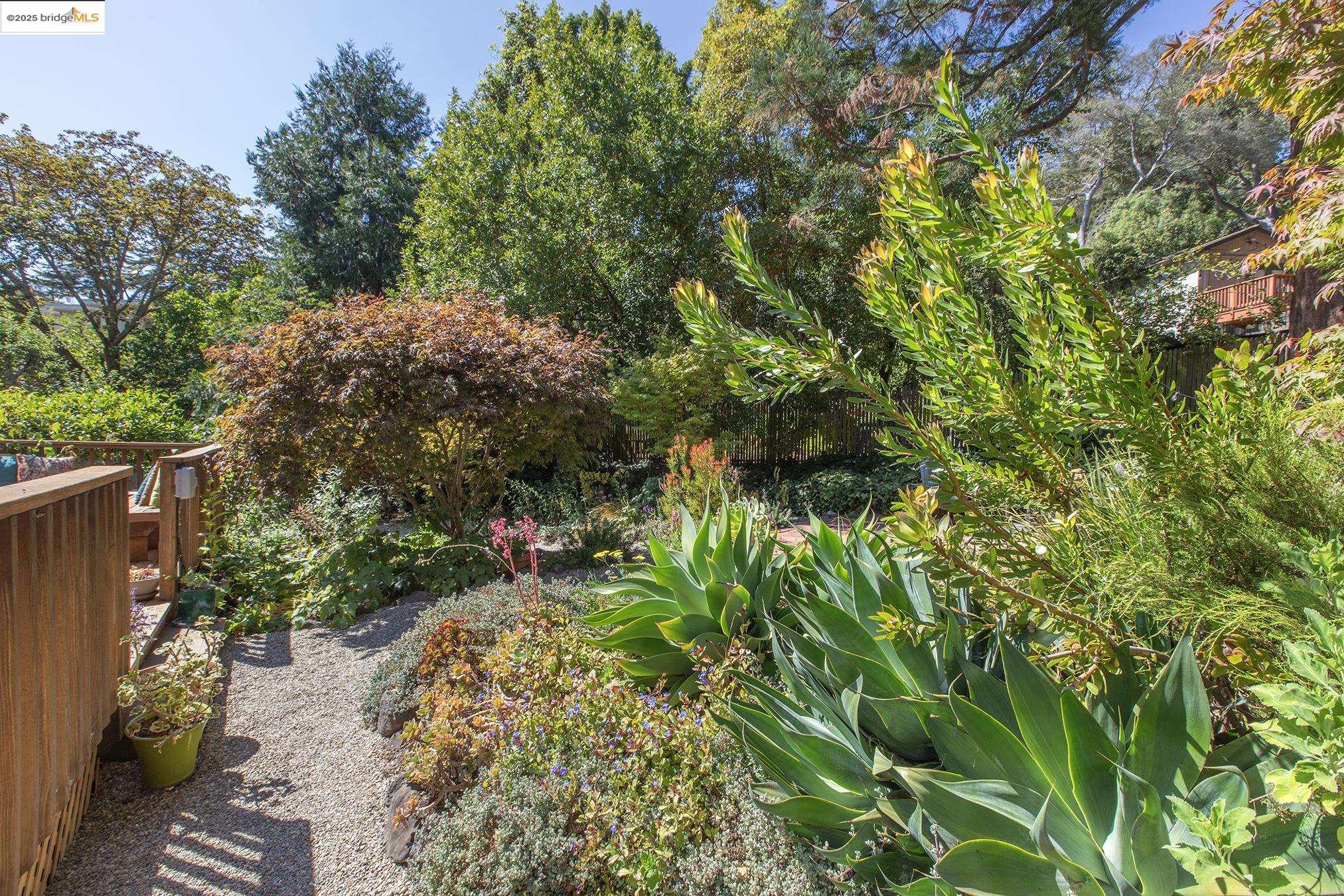 Detail Gallery Image 31 of 60 For 1081 Keith Ave, Berkeley,  CA 94708 - 3 Beds | 2 Baths