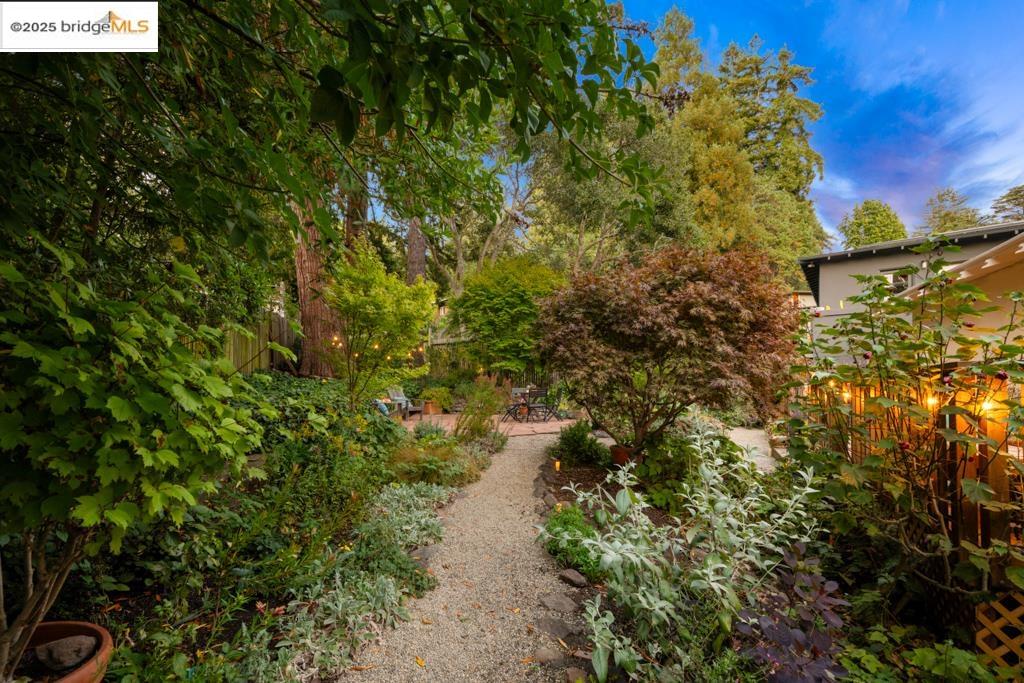 Detail Gallery Image 44 of 60 For 1081 Keith Ave, Berkeley,  CA 94708 - 3 Beds | 2 Baths