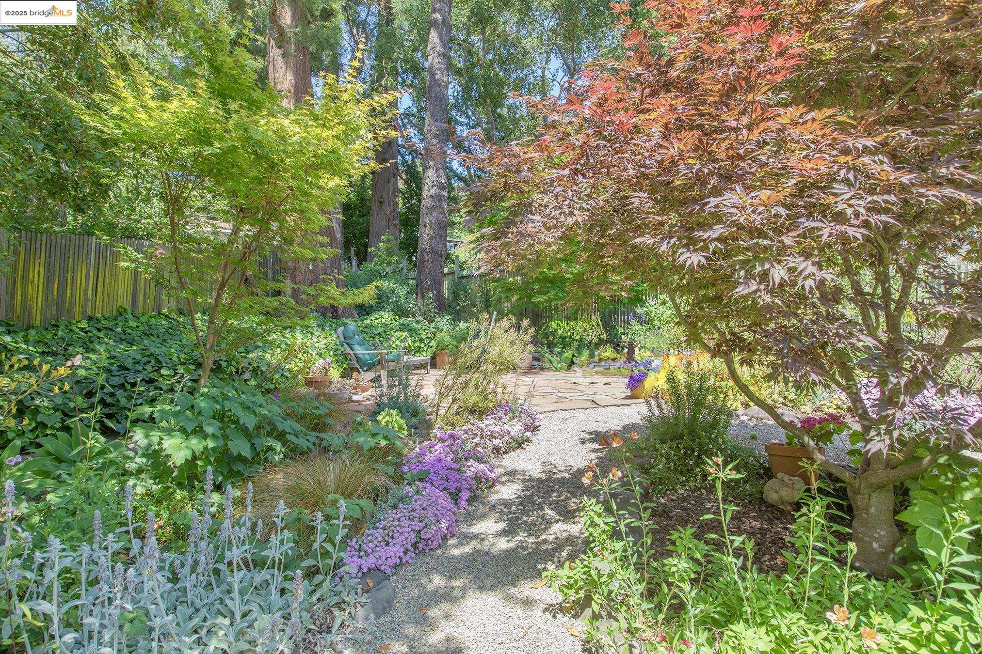 Detail Gallery Image 49 of 60 For 1081 Keith Ave, Berkeley,  CA 94708 - 3 Beds | 2 Baths