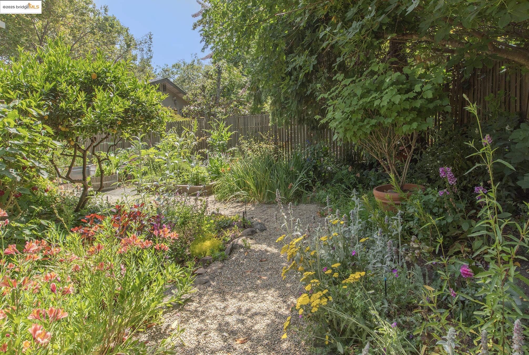 Detail Gallery Image 50 of 60 For 1081 Keith Ave, Berkeley,  CA 94708 - 3 Beds | 2 Baths