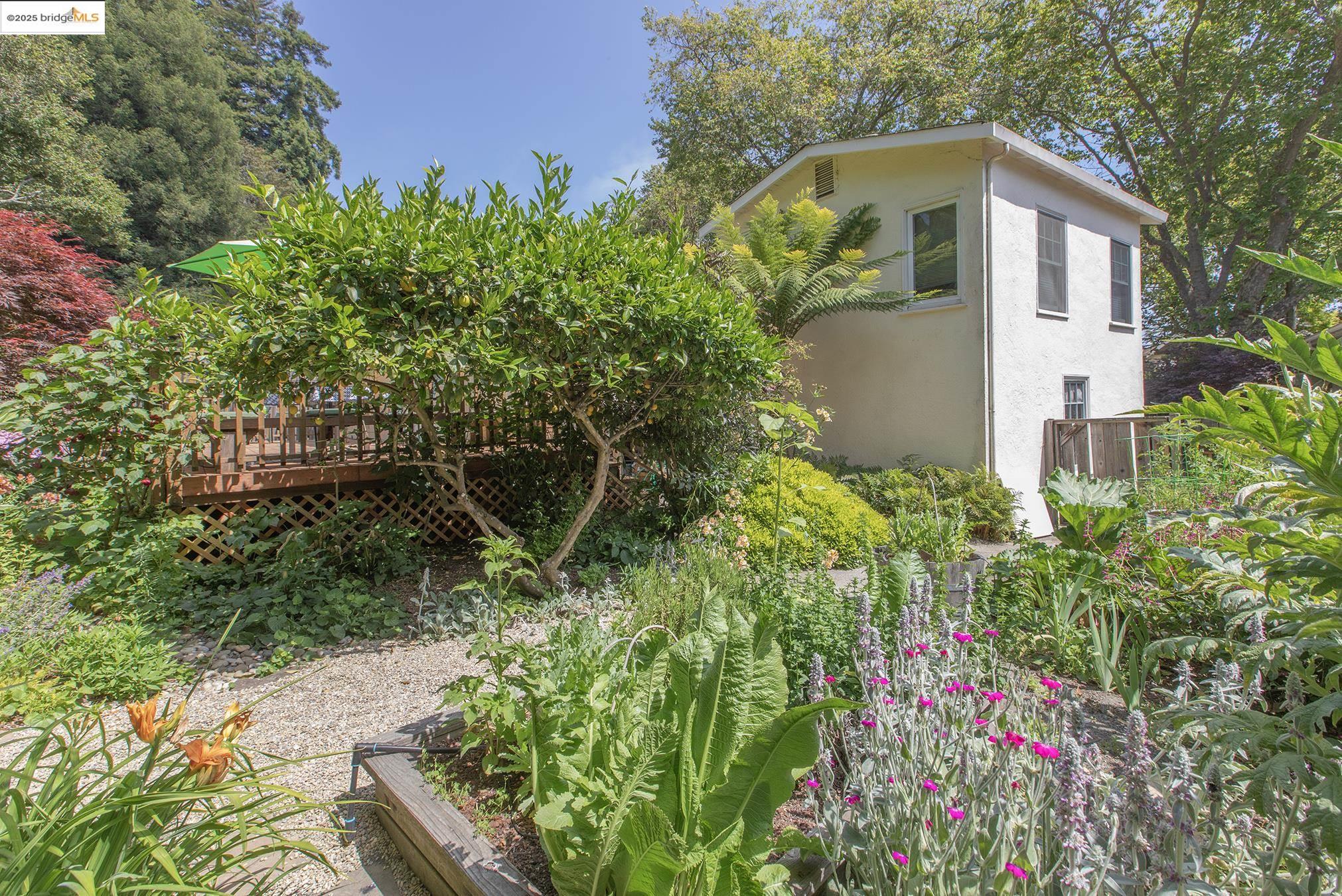Detail Gallery Image 52 of 60 For 1081 Keith Ave, Berkeley,  CA 94708 - 3 Beds | 2 Baths