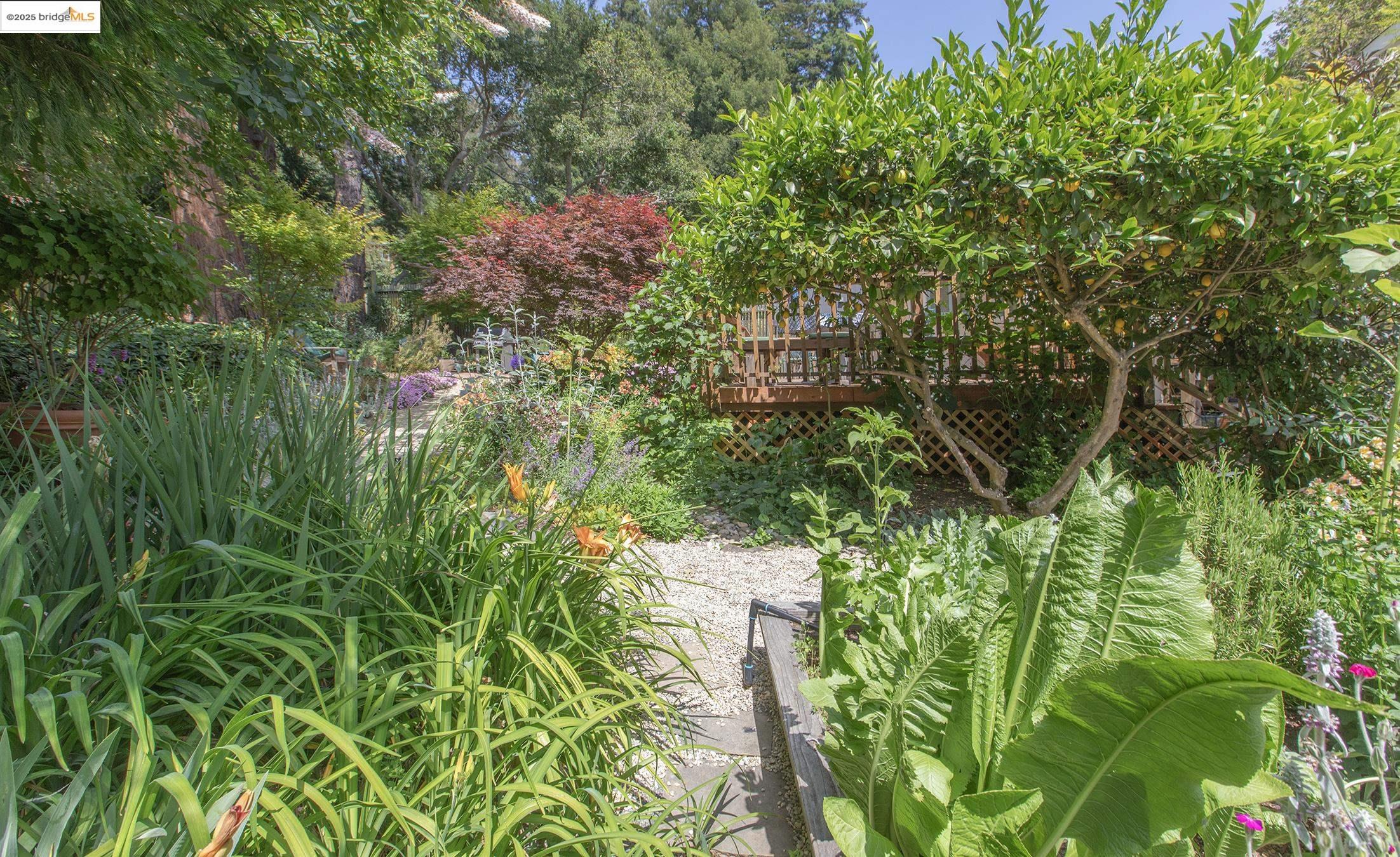 Detail Gallery Image 53 of 60 For 1081 Keith Ave, Berkeley,  CA 94708 - 3 Beds | 2 Baths