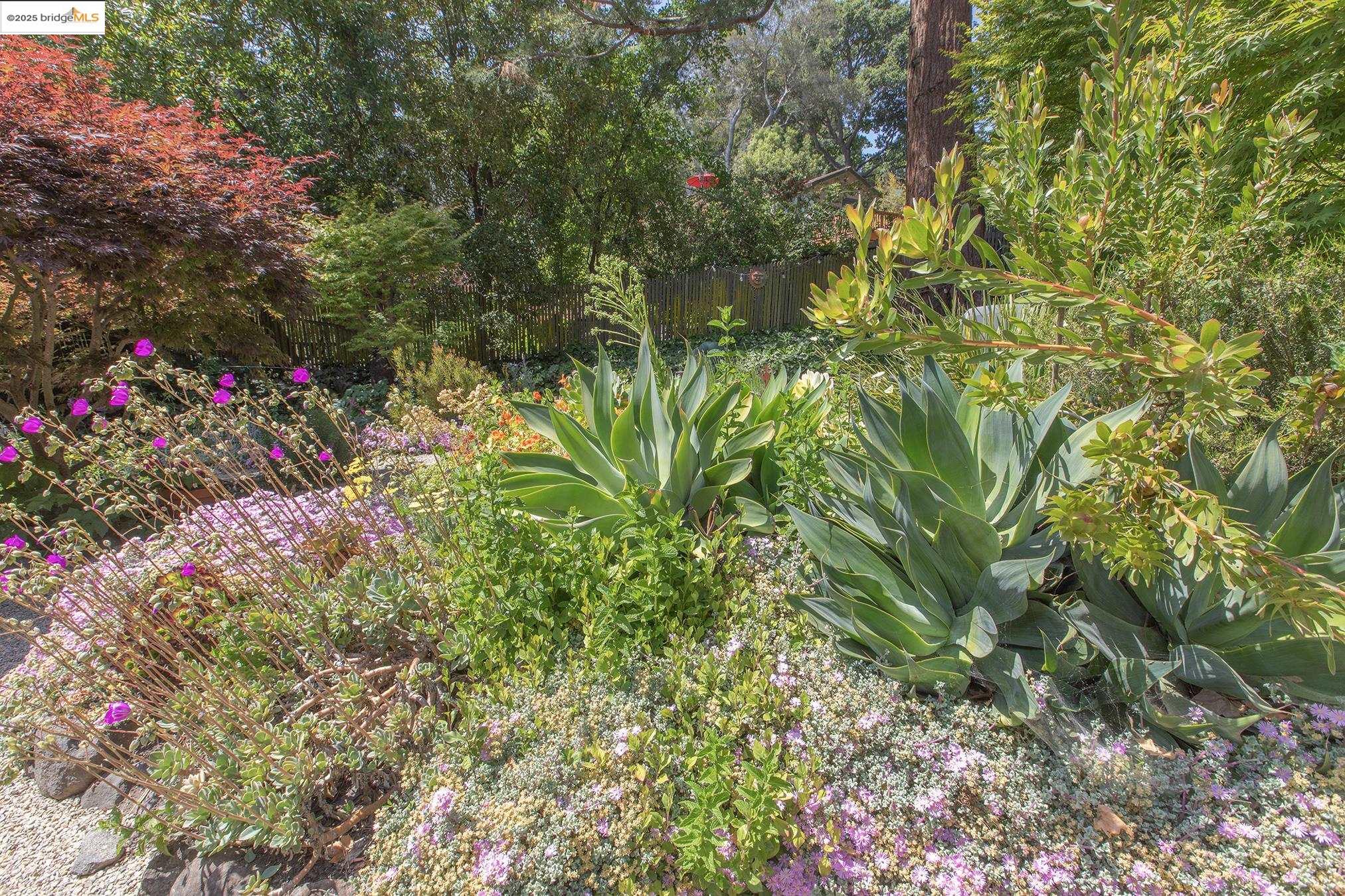 Detail Gallery Image 54 of 60 For 1081 Keith Ave, Berkeley,  CA 94708 - 3 Beds | 2 Baths