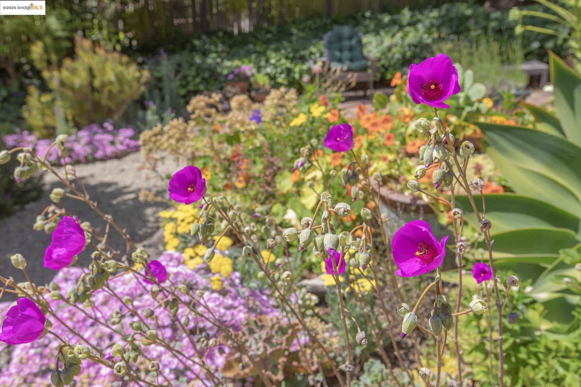 Detail Gallery Image 55 of 60 For 1081 Keith Ave, Berkeley,  CA 94708 - 3 Beds | 2 Baths