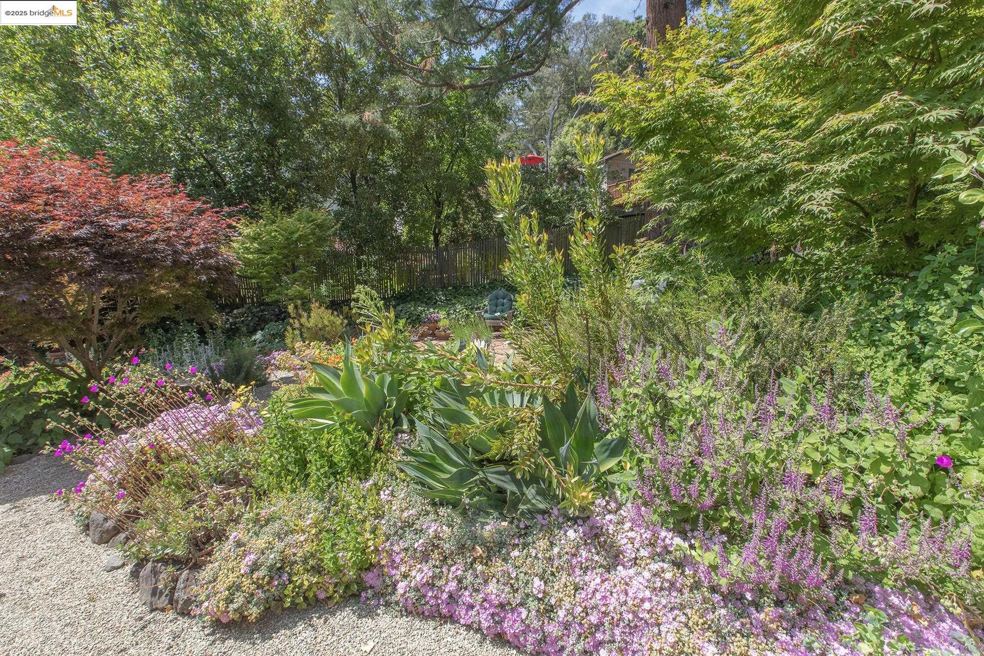 Detail Gallery Image 56 of 60 For 1081 Keith Ave, Berkeley,  CA 94708 - 3 Beds | 2 Baths