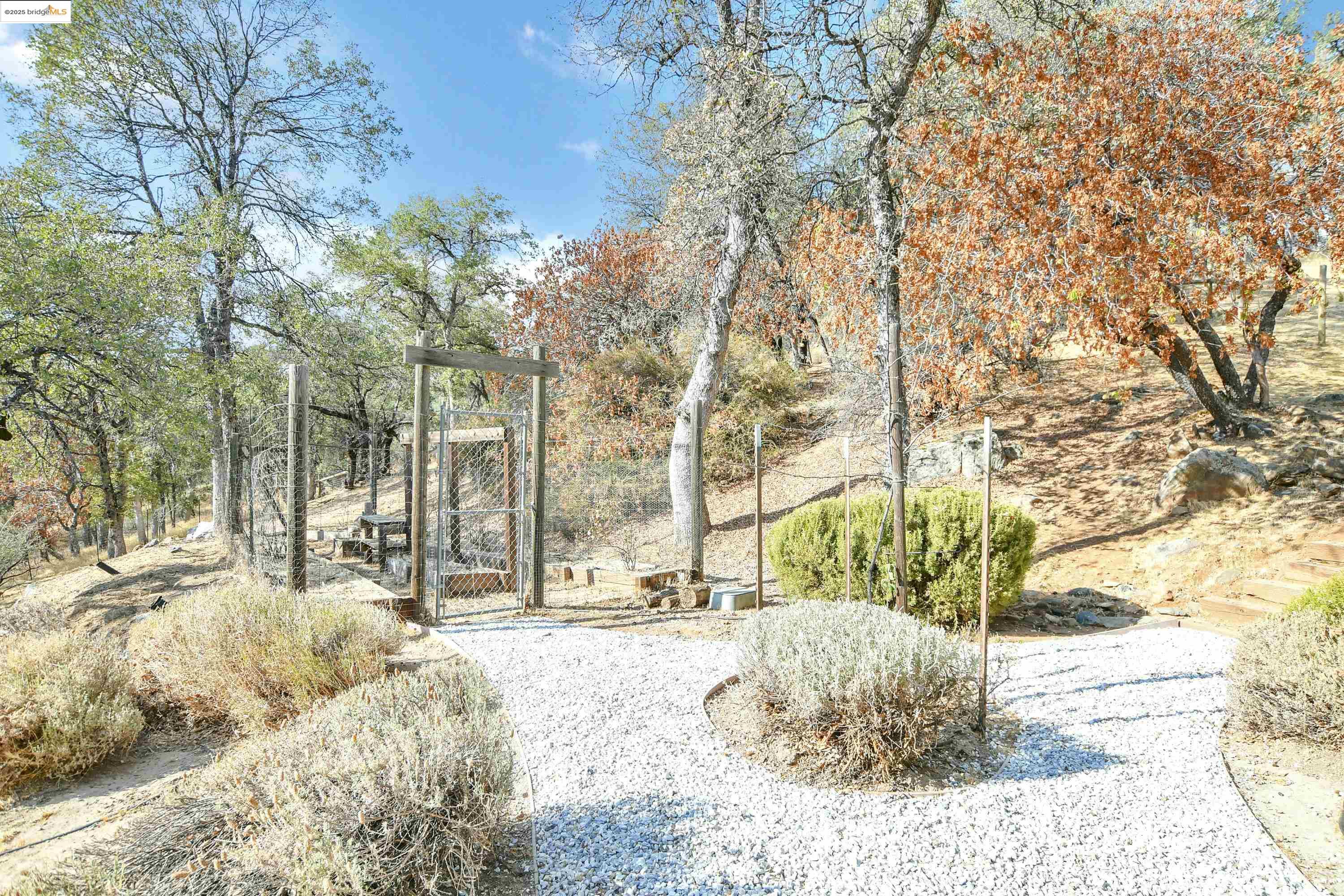Detail Gallery Image 41 of 60 For 16096 Parkridge Ave, Sonora,  CA 95370 - 4 Beds | 3/1 Baths