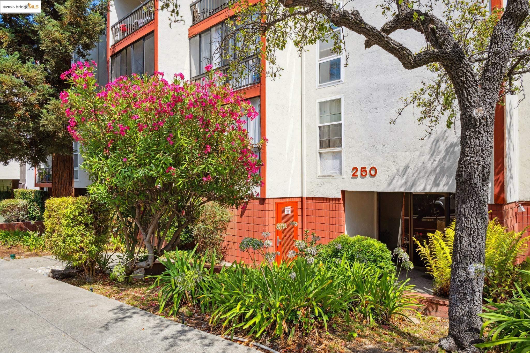 Detail Gallery Image 2 of 34 For 250 Whitmore St #202,  Oakland,  CA 94611 - 1 Beds | 1 Baths