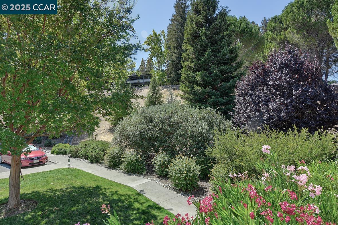 Photo #4: 41109519 Listing 