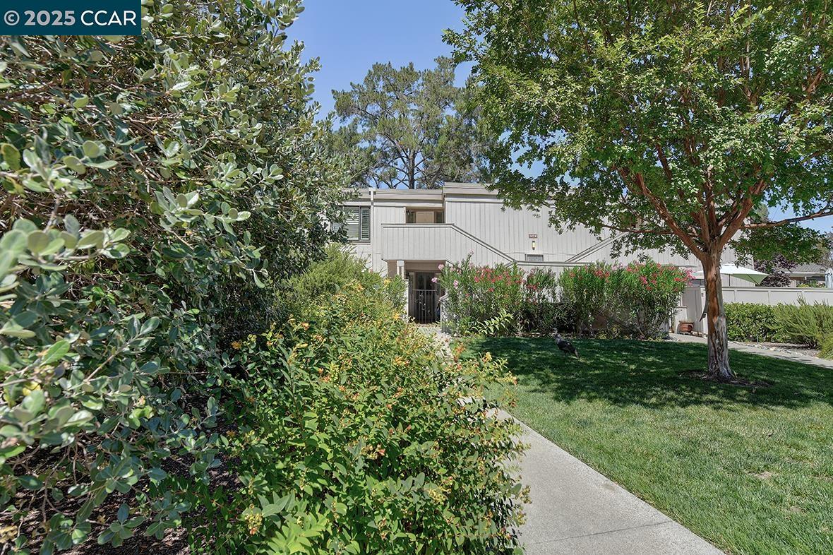 Photo #38: 41109519 Listing: Photo #38