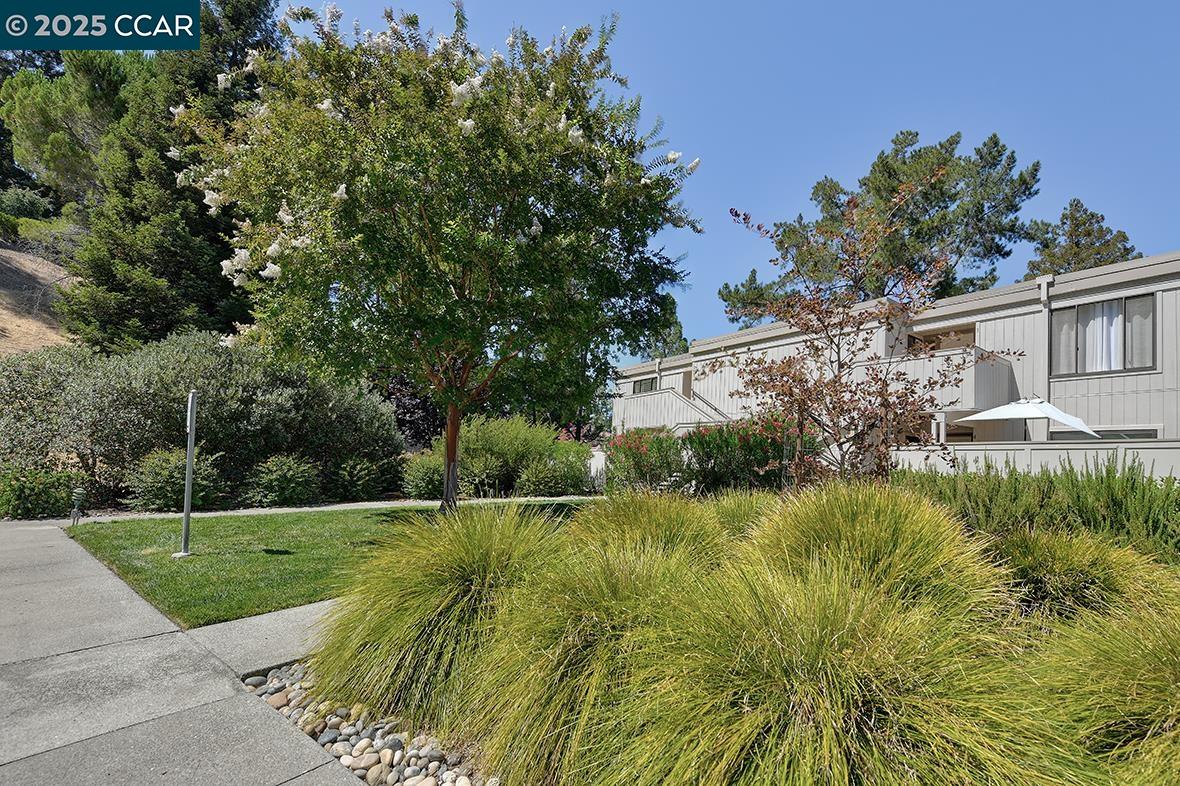 Photo #39: 41109519 Listing: Photo #39