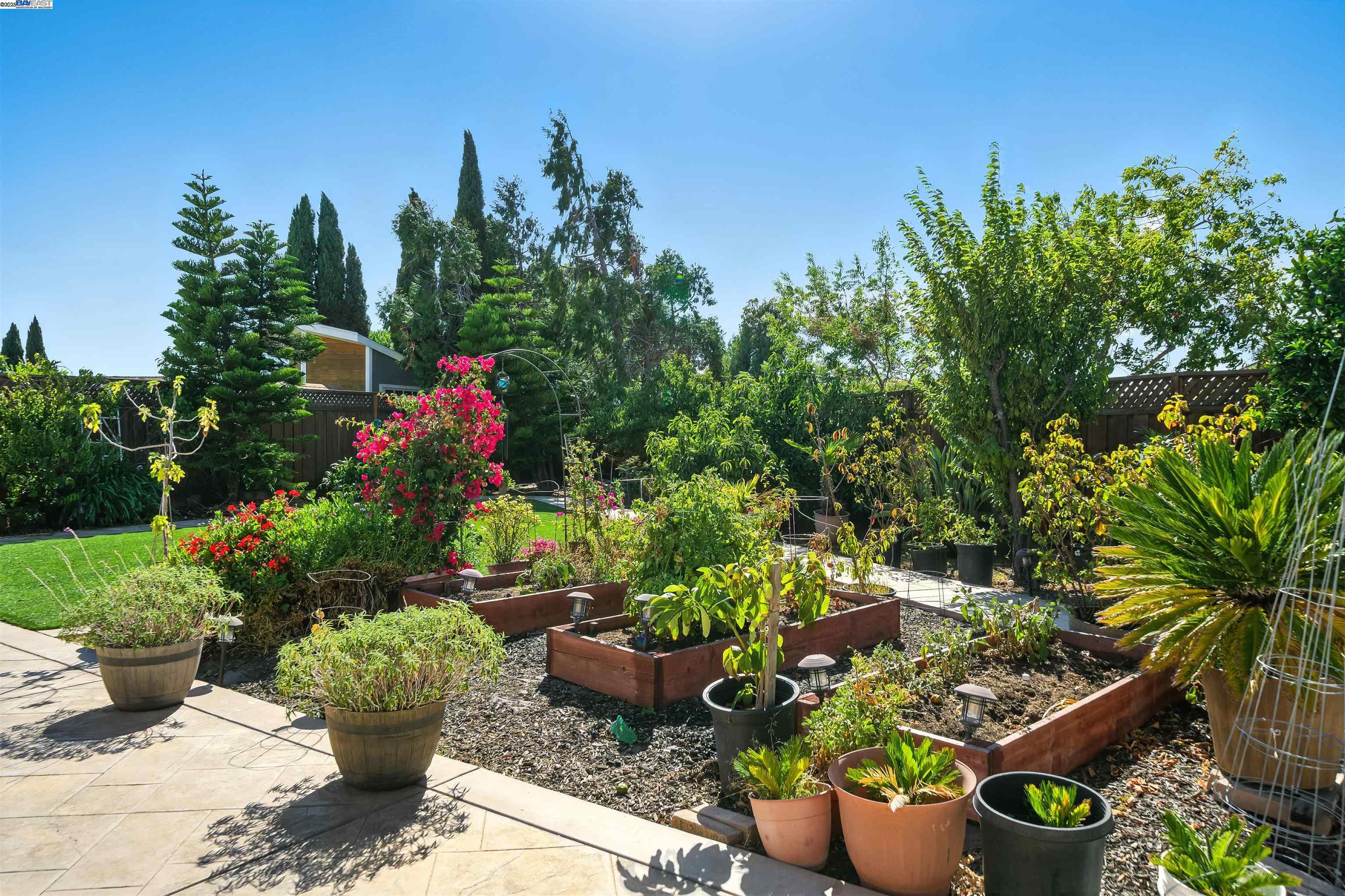 Detail Gallery Image 29 of 37 For 32302 Ruth Ct, Union City,  CA 94587 - 3 Beds | 2 Baths