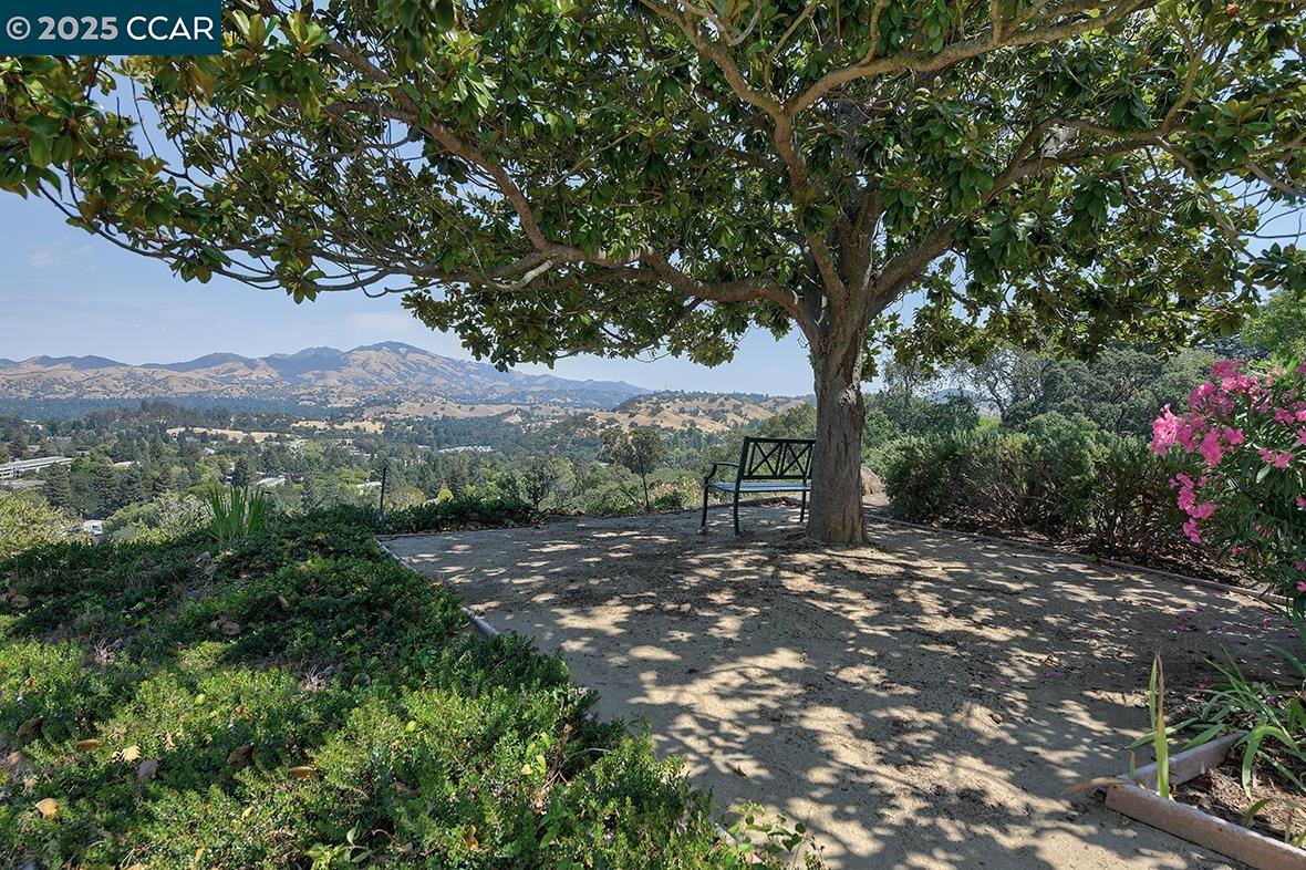 Photo #51: 41109579 Listing: Photo #51