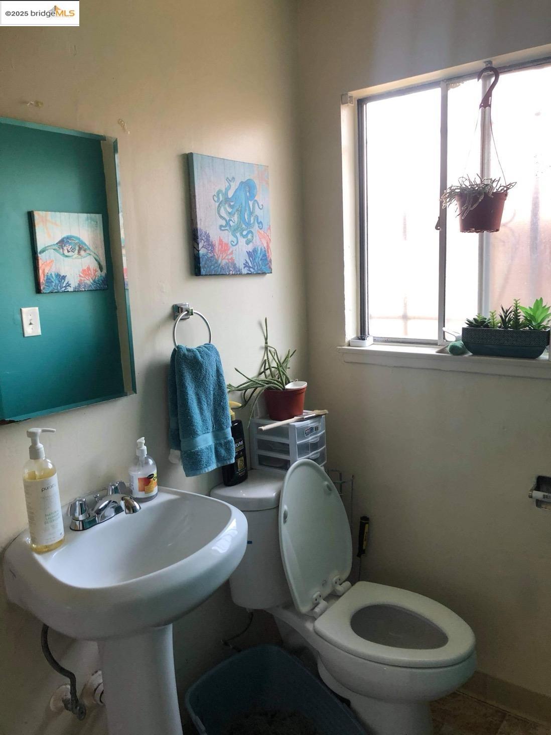 Detail Gallery Image 6 of 6 For 3681 39th Ave, Oakland,  CA 94619 - – Beds | – Baths