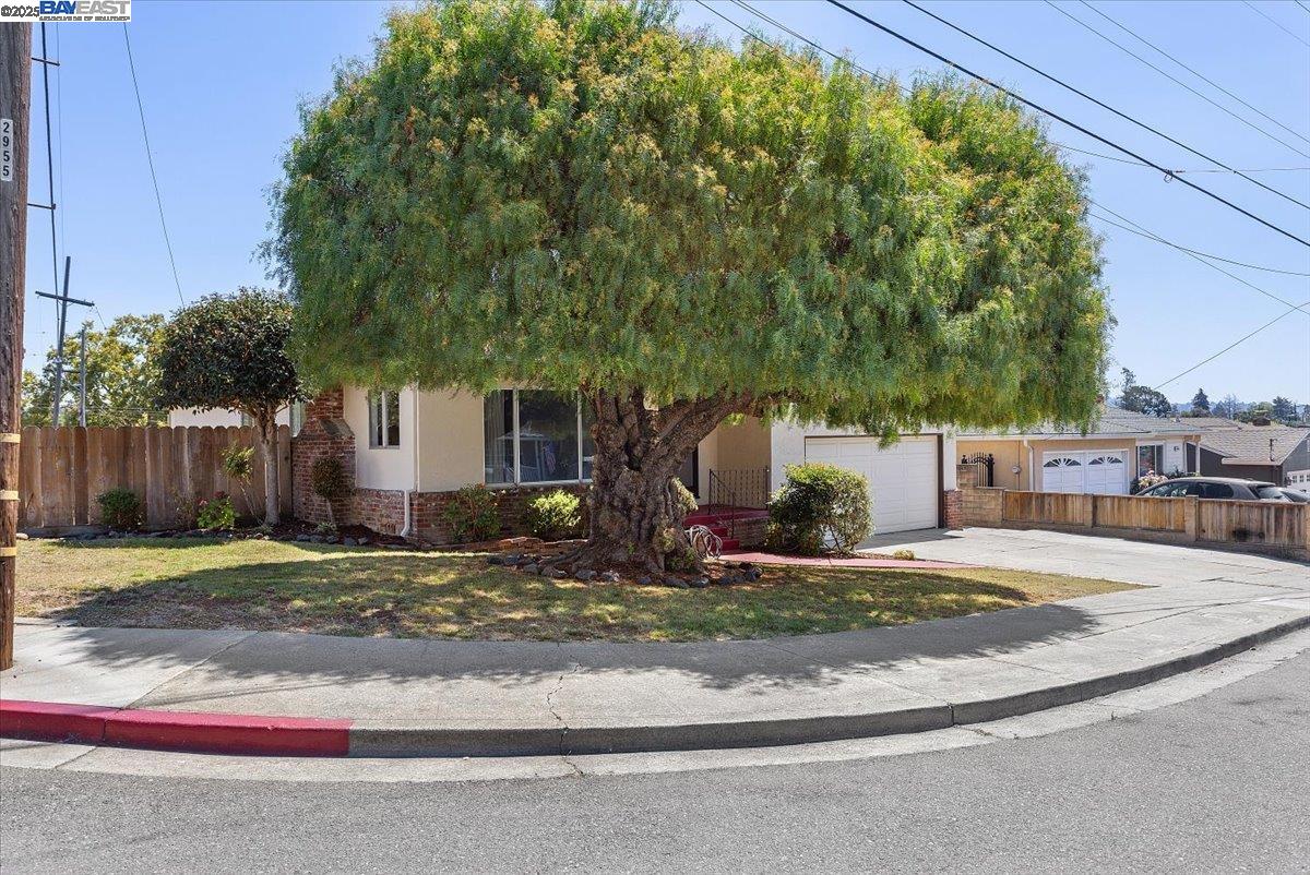 Detail Gallery Image 44 of 45 For 19306 Vaughn Ave, Castro Valley,  CA 94546 - 3 Beds | 2 Baths
